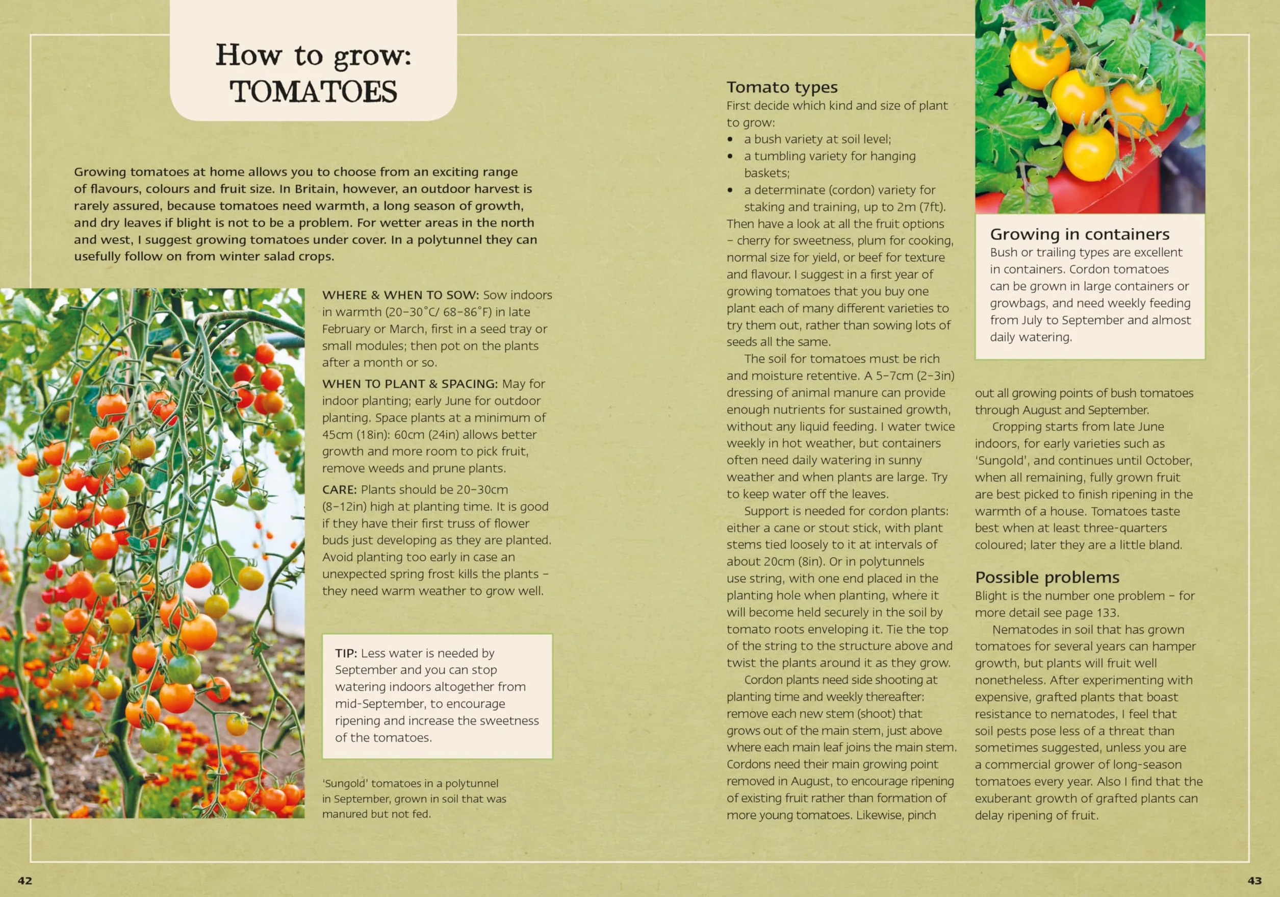 Charles Dowding's Veg Journal: Expert No-Dig Advice, Month by Month