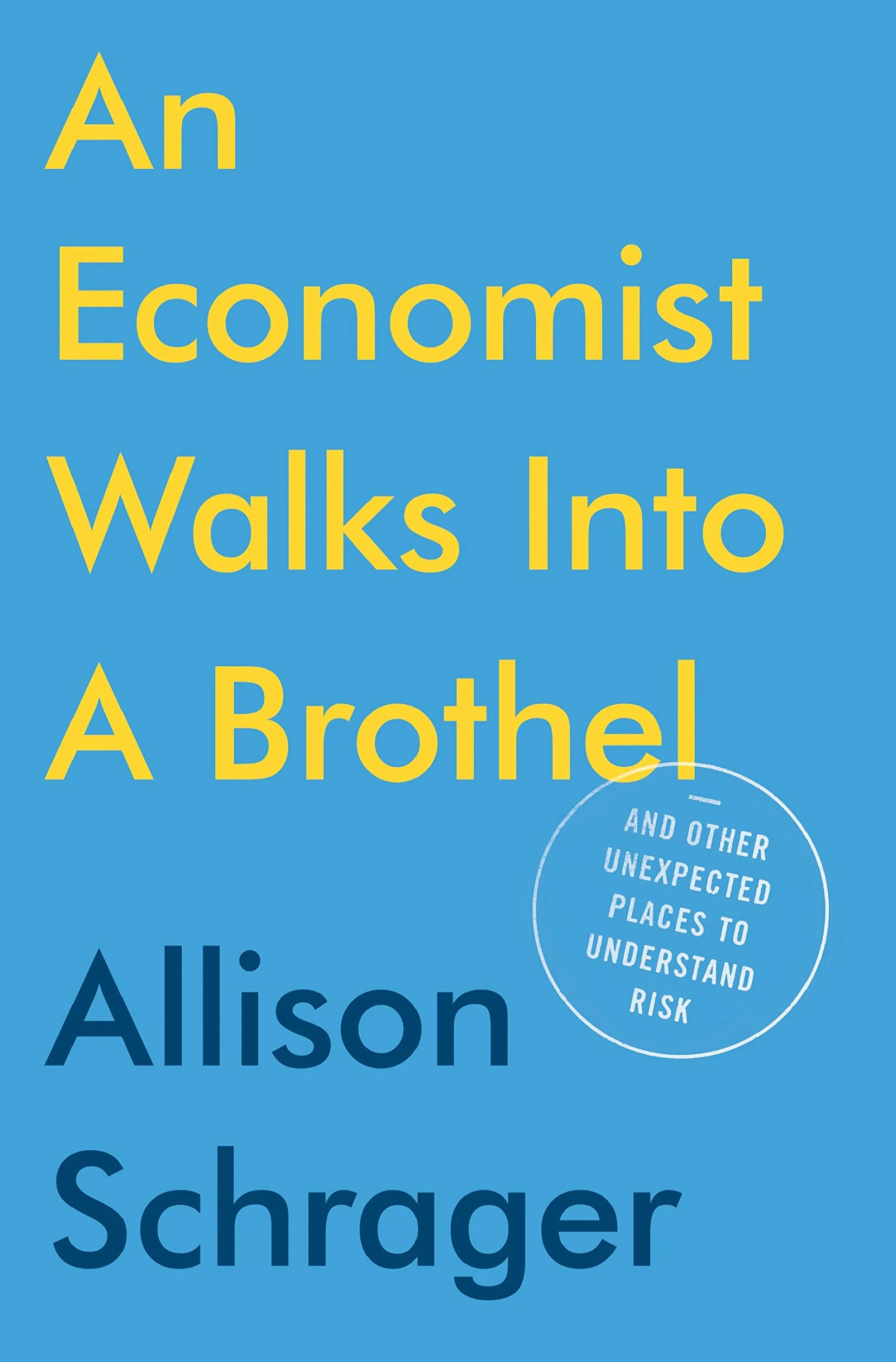 An Economist Walks into a Brothel: And Other Unexpected Places to Understand Risk