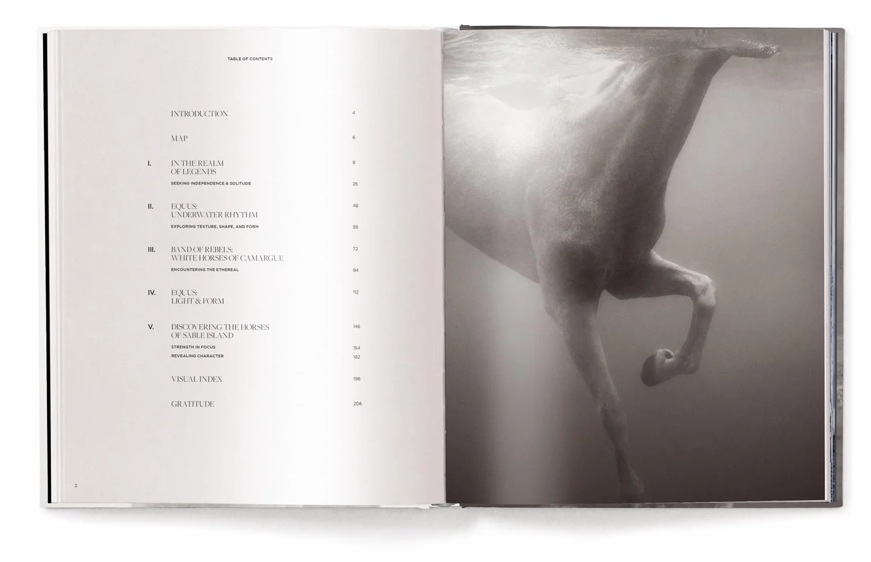 Untamed Spirits: Horses from Around the World /anglais/allemand