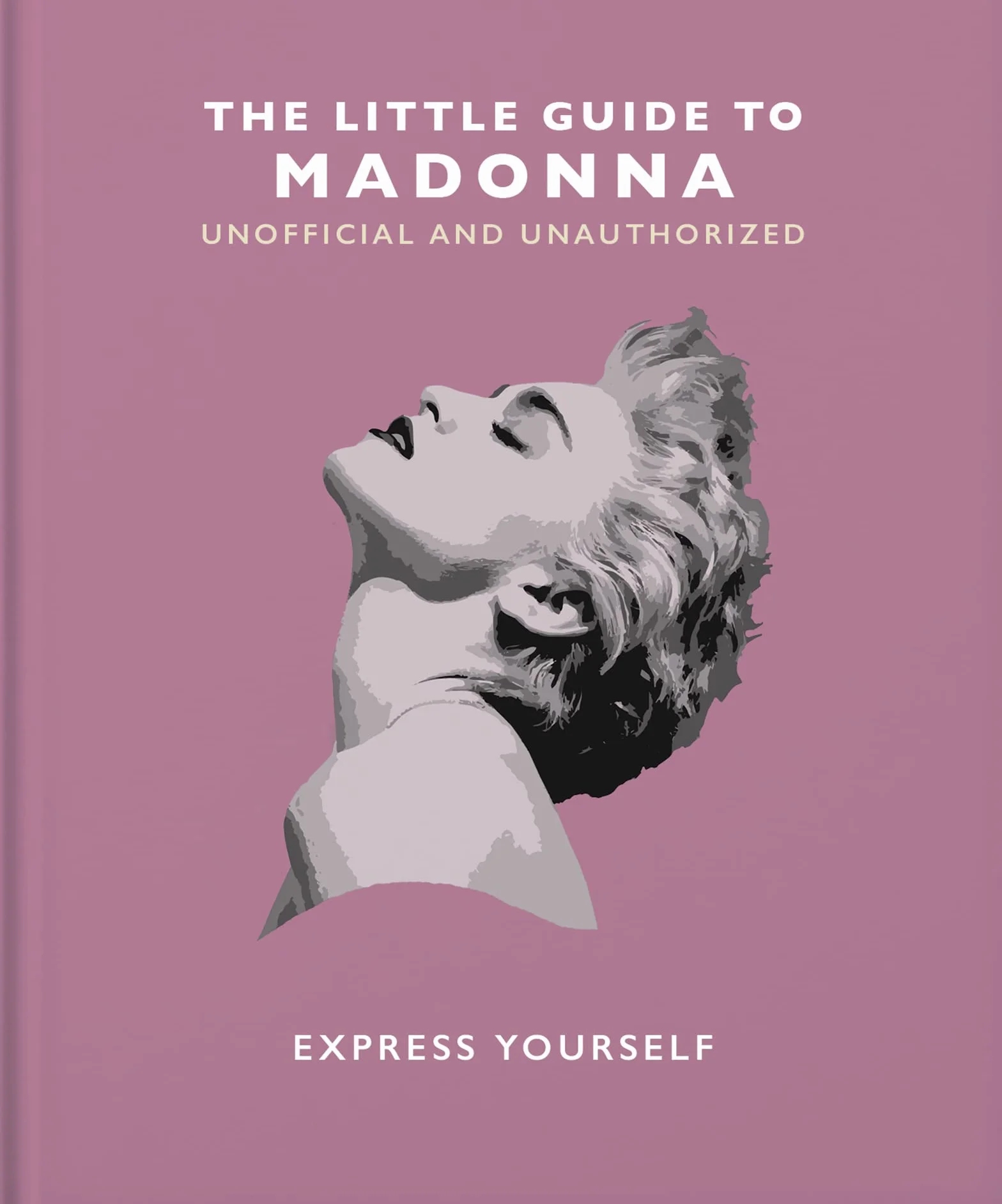 The Little Guide to Madonna: Express Yourself: 19