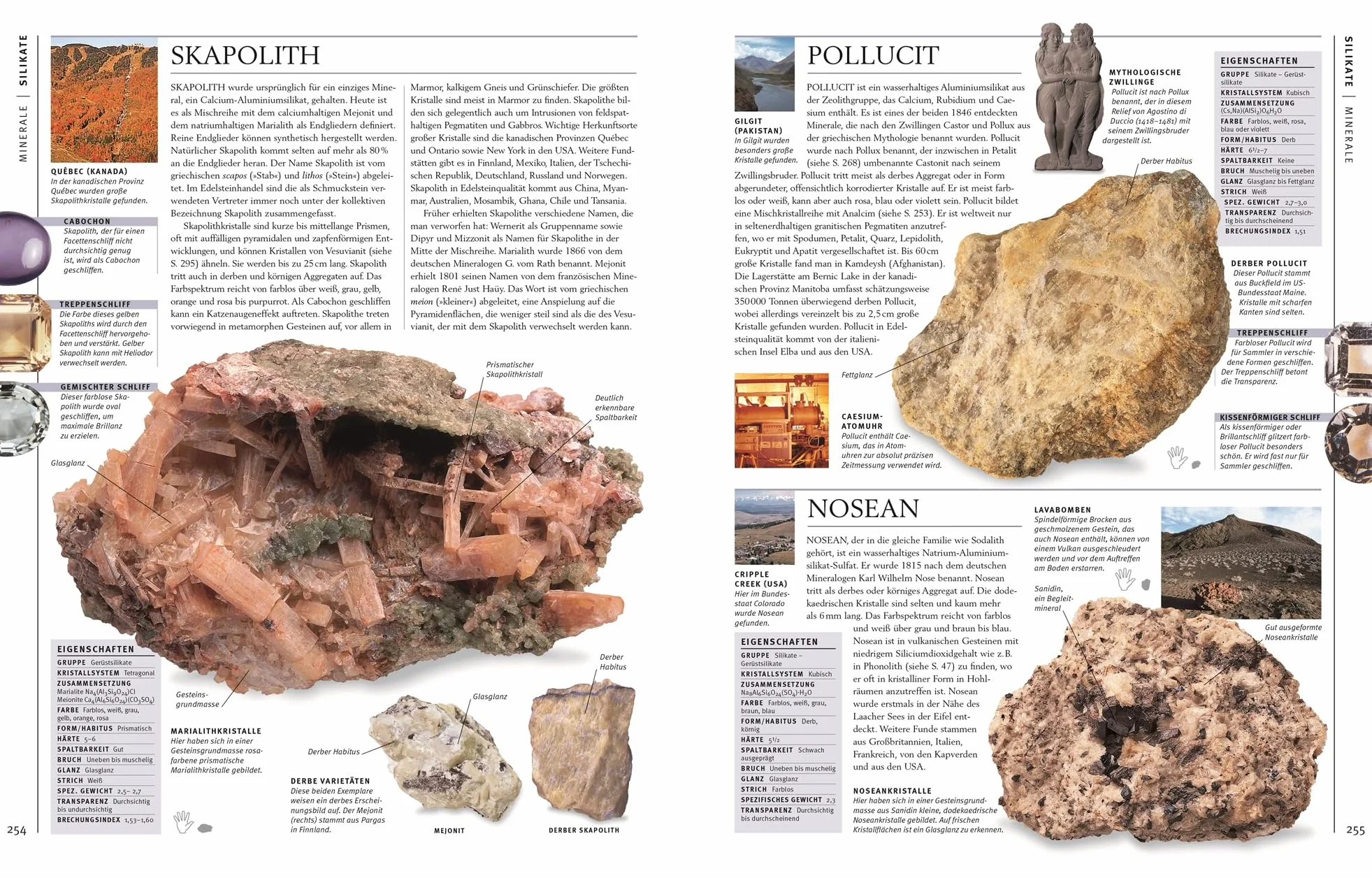 Steine & Mineralien: Über 500 faszinierende Gesteine, Minerale, Edelsteine und Fossilien. Mit mehr als 1200 spektakulären Farbfotos