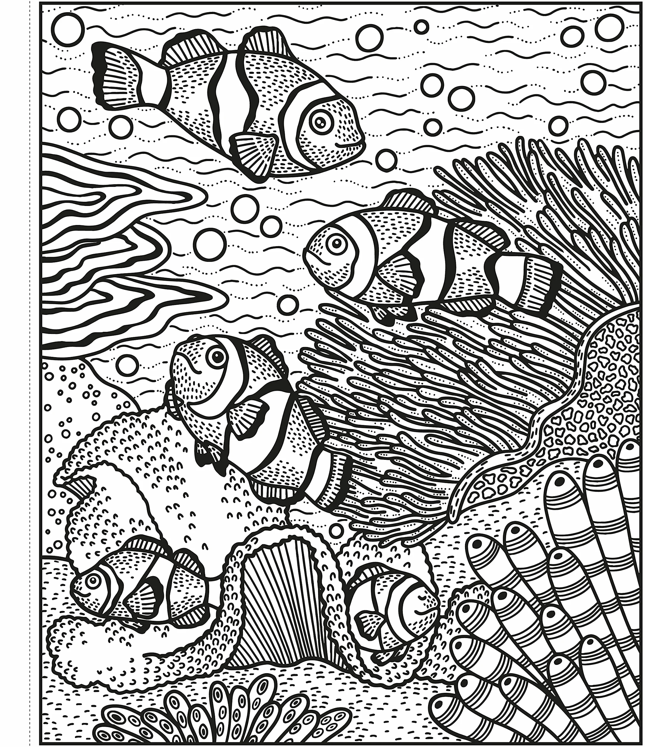 Magic Painting Coral Reef (Magic Painting Books)