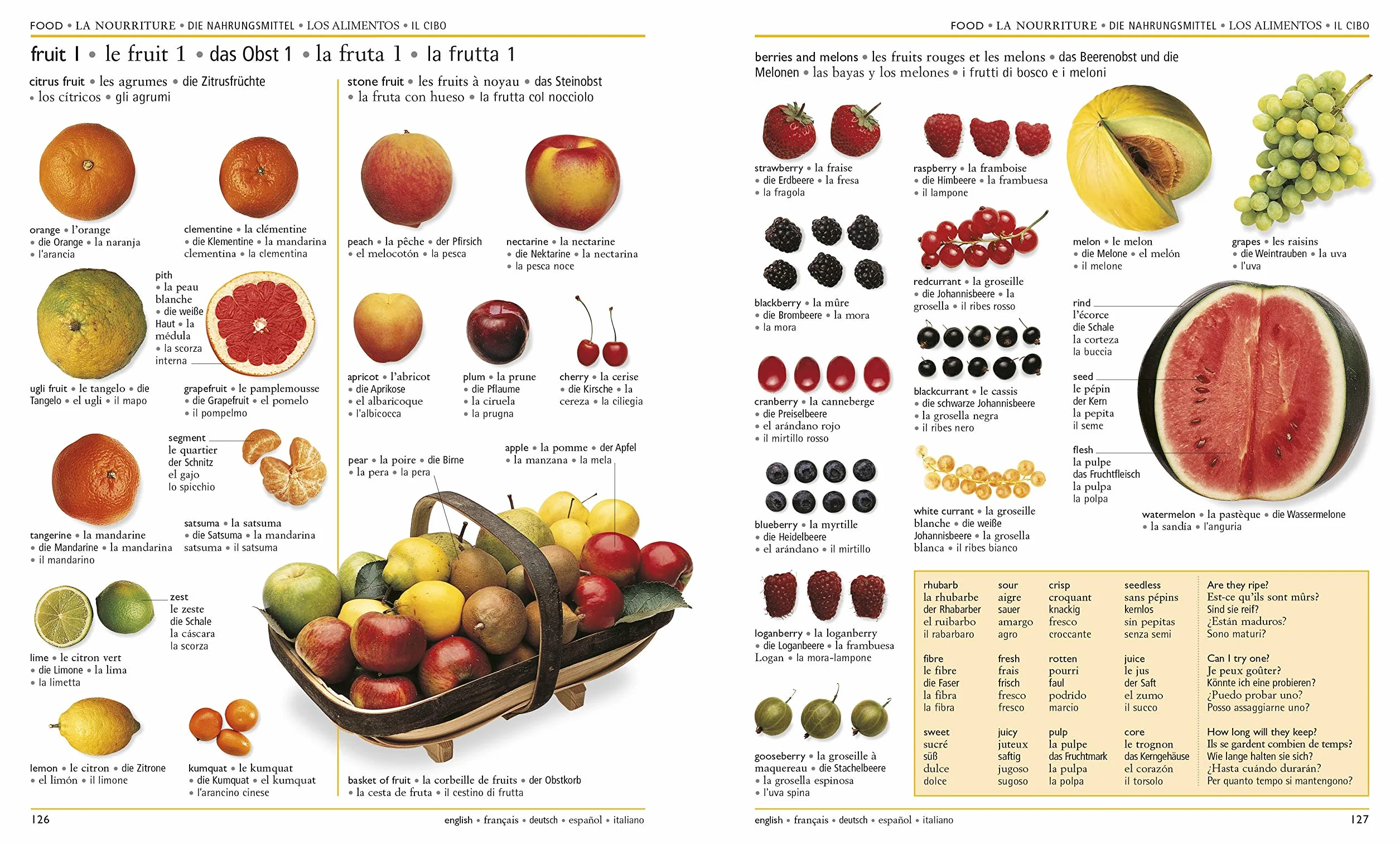 5 Language Visual Dictionary: Over 6,500 illustrated terms, labelled in English, French, German, Spanish and Italian