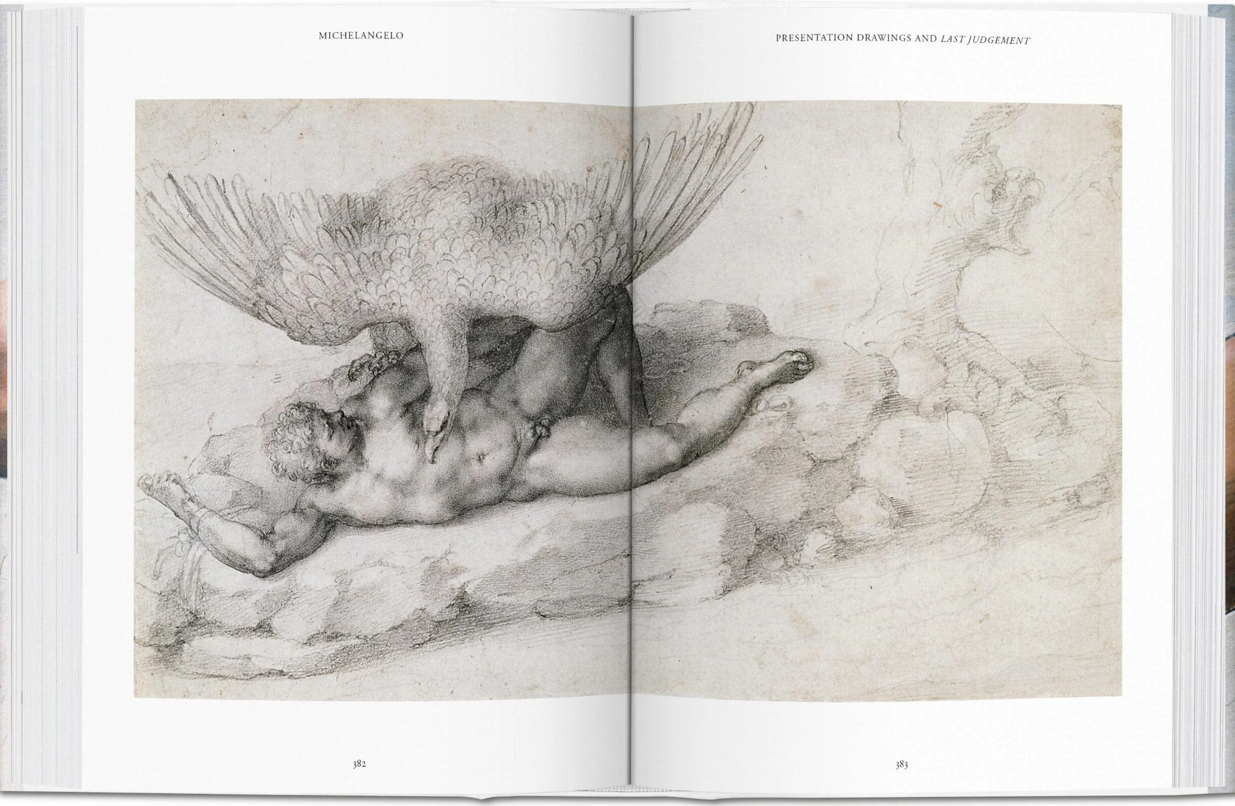 Michelangelo. The Complete Paintings, Sculptures and Arch.: Bu: Paintings, Sculptures and Architecture