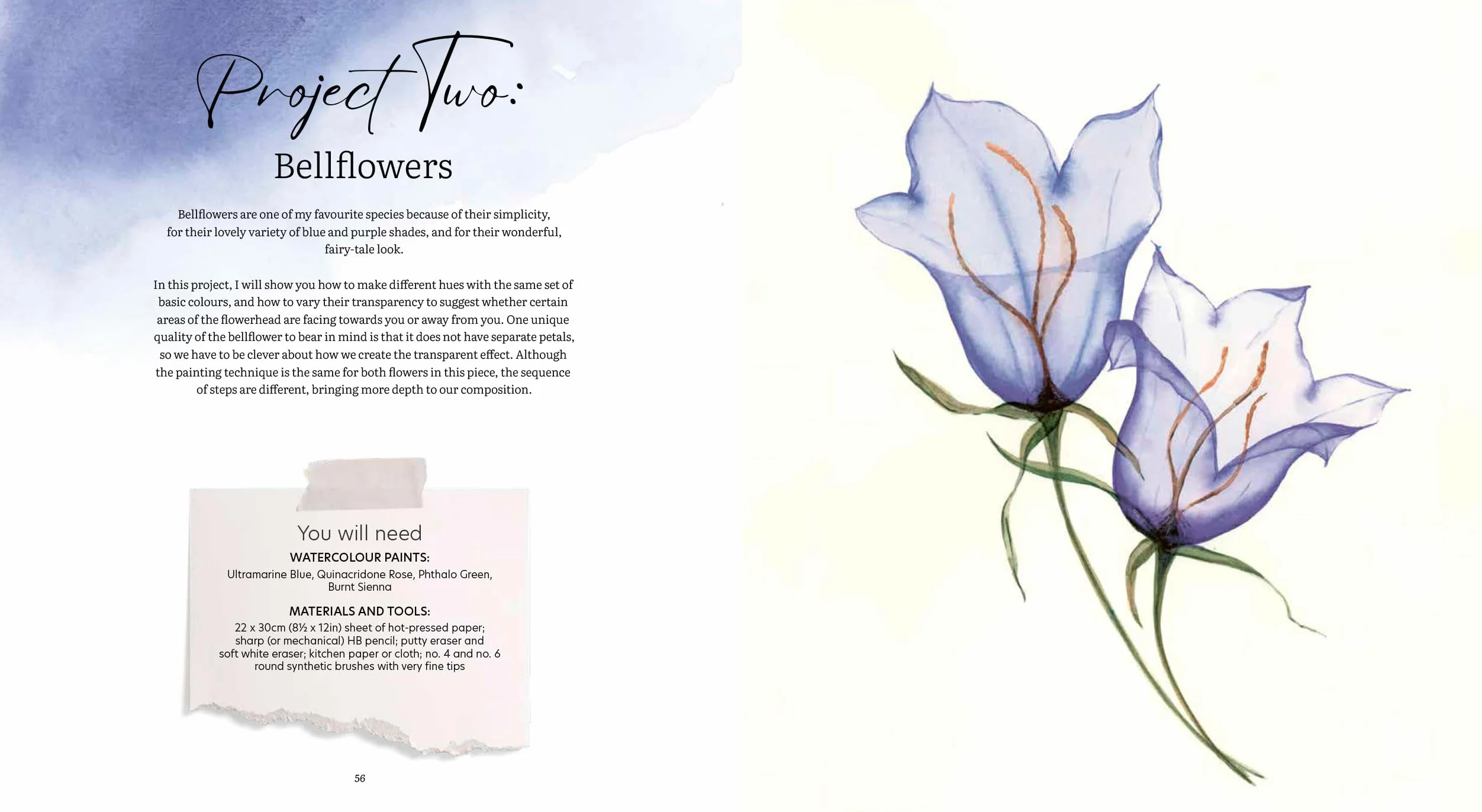 How to Paint Transparent Watercolour Flowers