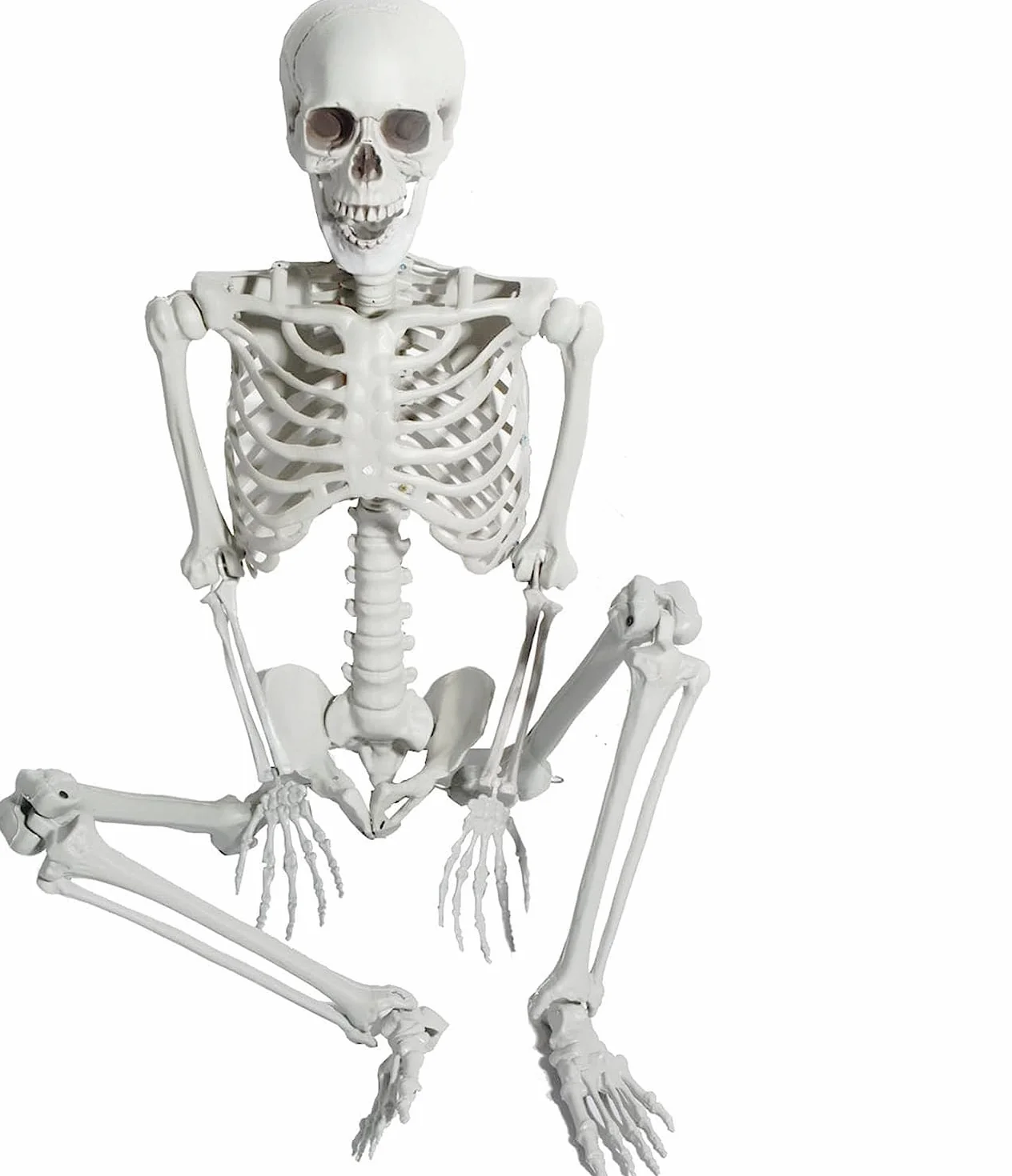 165 cm, Halloween, naturalny szkielet, całe ciało, ludzkie kości z ruchomymi przegubami, rekwizyt na imprezę, straszny cmentarz, nawiedzony dom, trawnik, dekoracja