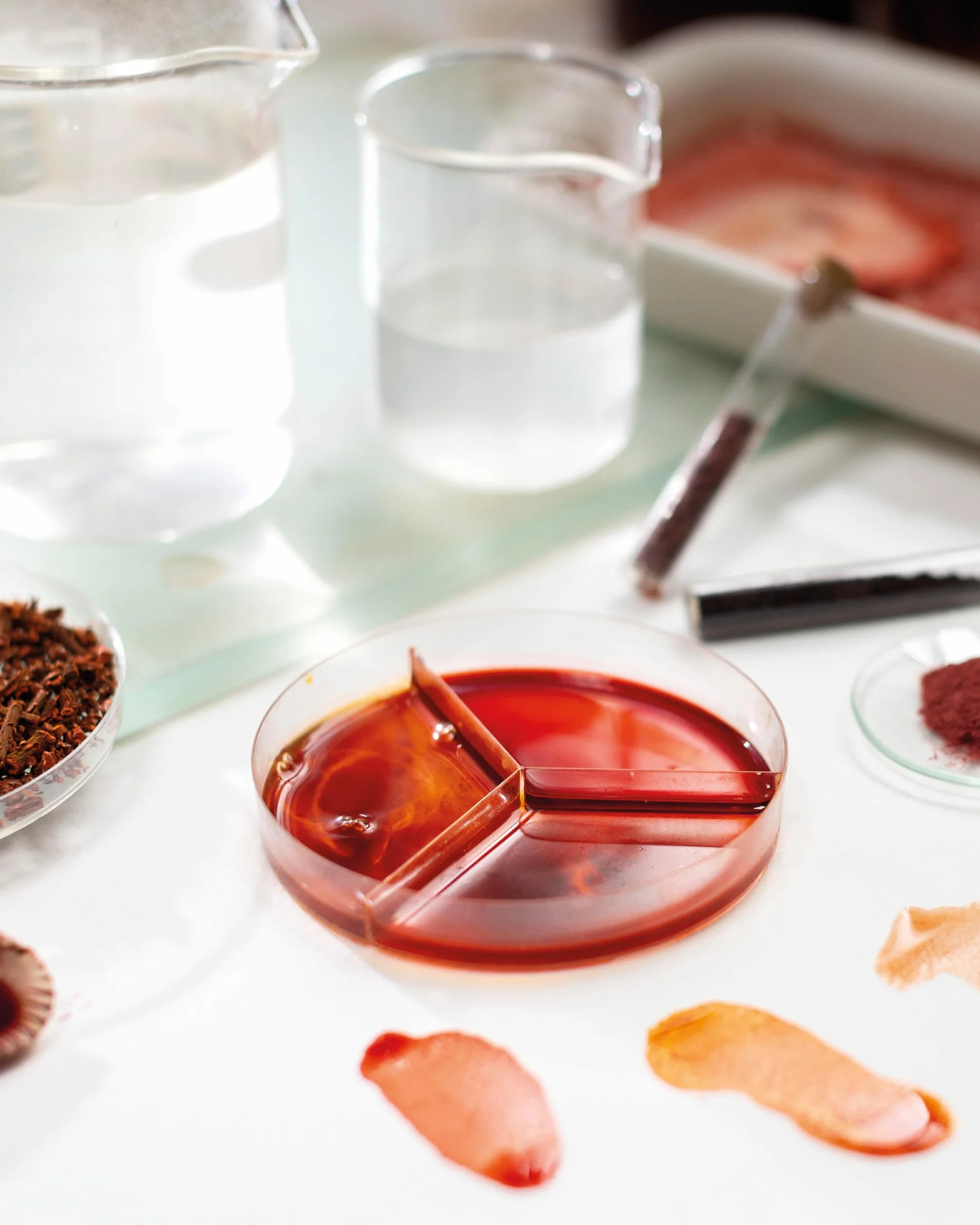 The Natural Pigment Handbook: A Maker's Guide to the Art, Stories and Recipes for Creating Paint