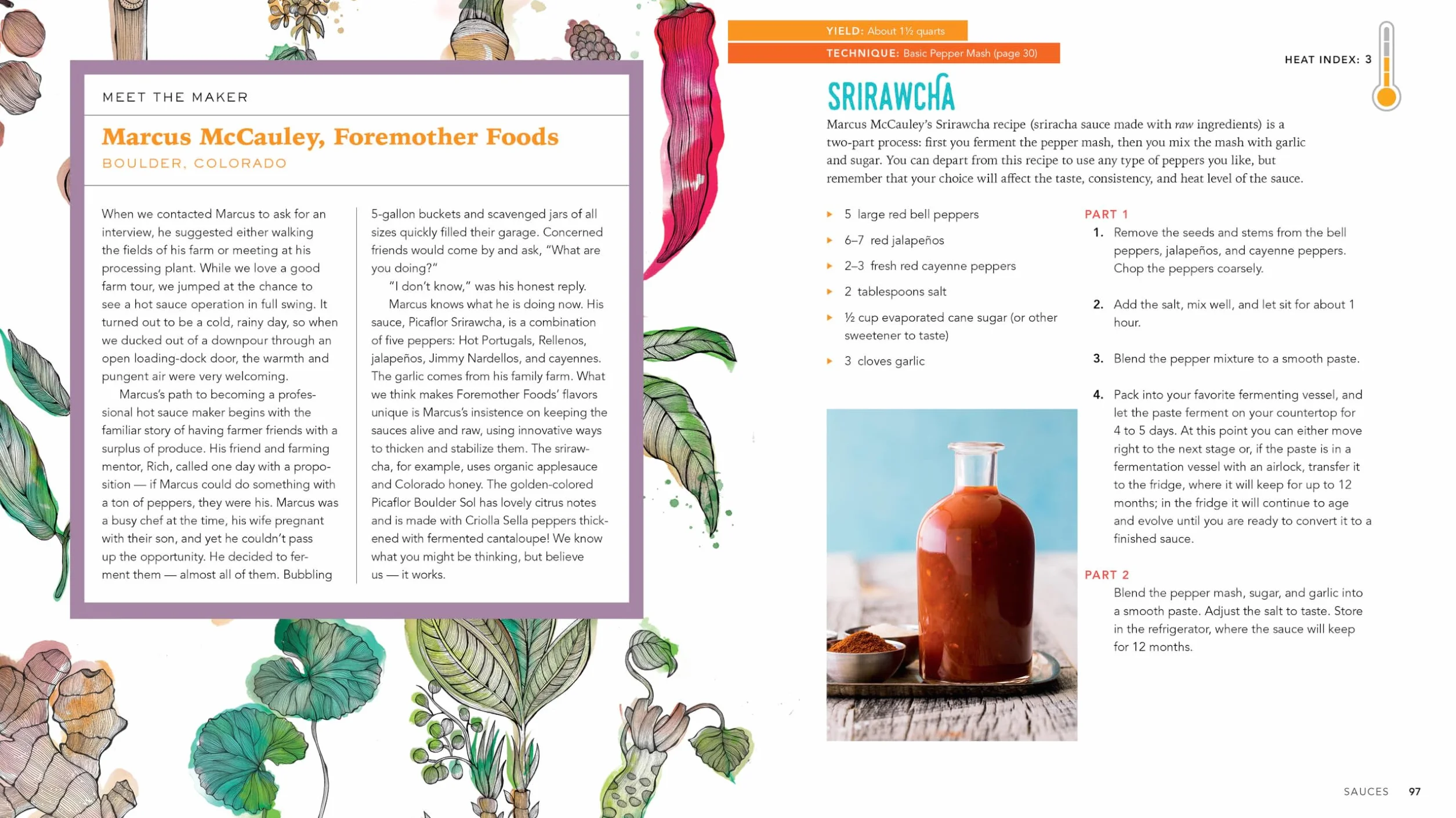 Fiery Ferments: 70 Stimulating Recipes for Hot Sauces, Spicy Chutneys, Kimchis with Kick, and Other Blazing Fermented Condiments