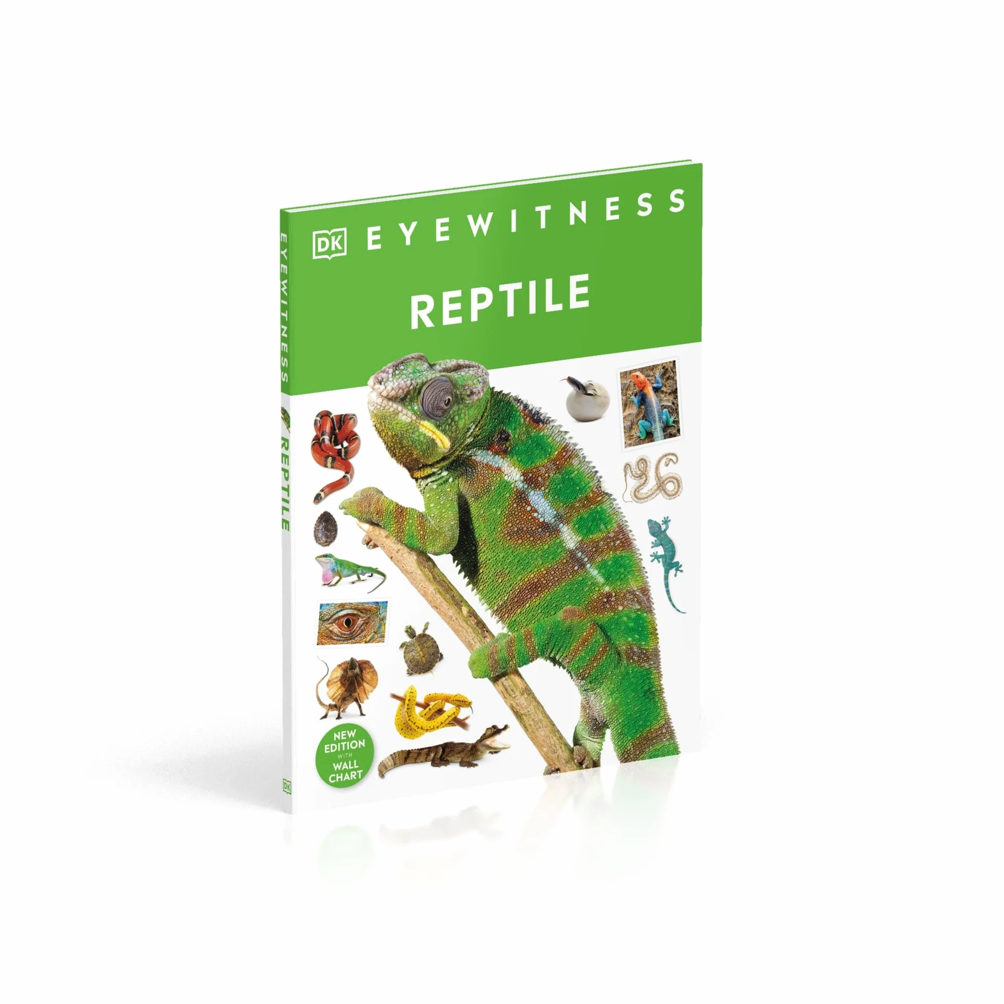 Reptile: DK Eyewitness