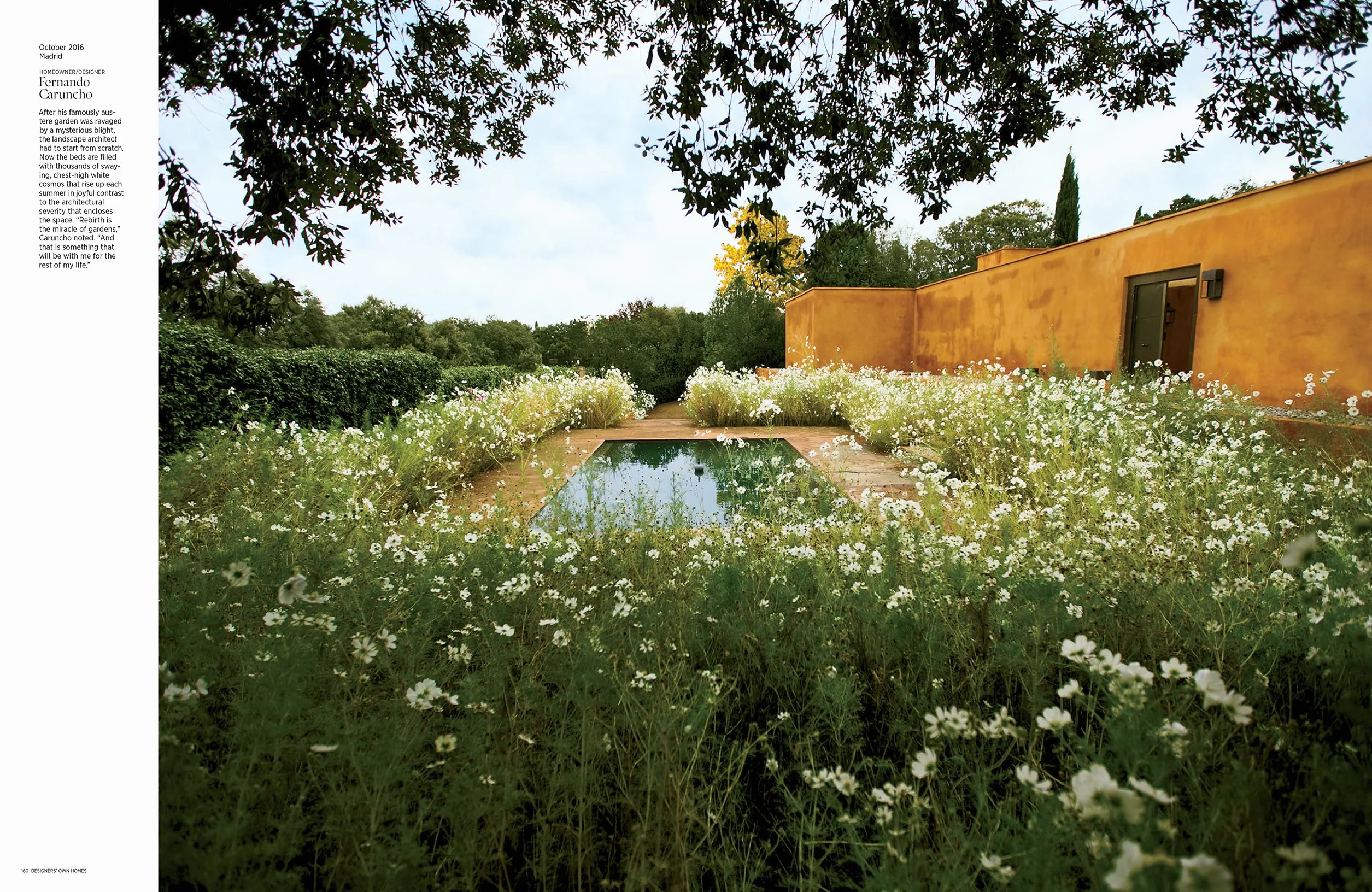 Architectural Digest at 100: The Collector's Edition: A Century of Style