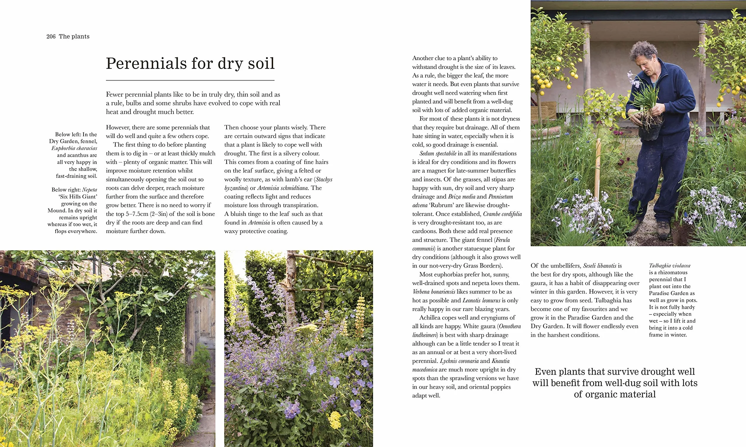 The Complete Gardener: A Practical, Imaginative Guide to Every Aspect of Gardening