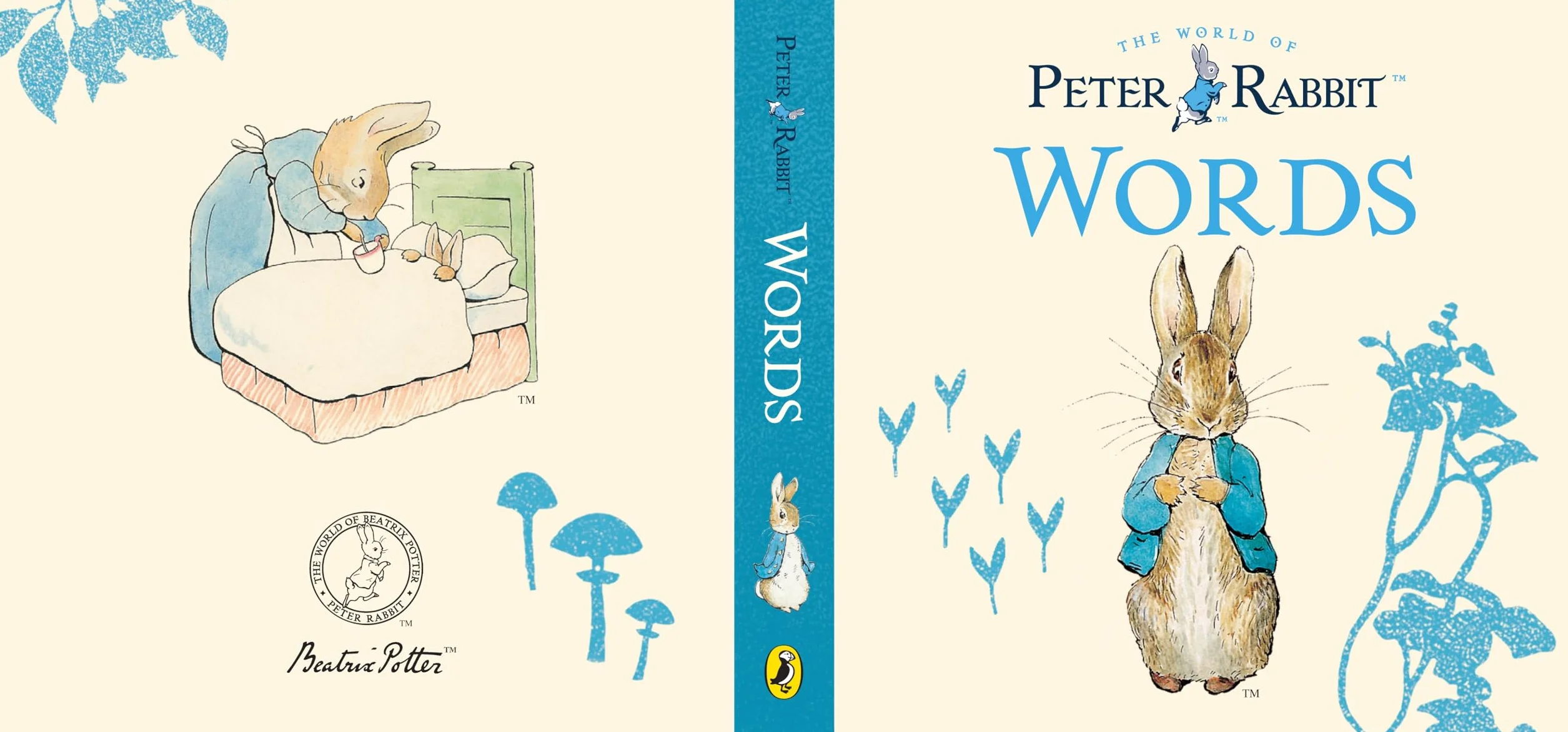 Peter Rabbit My First Little Library: A baby board book set