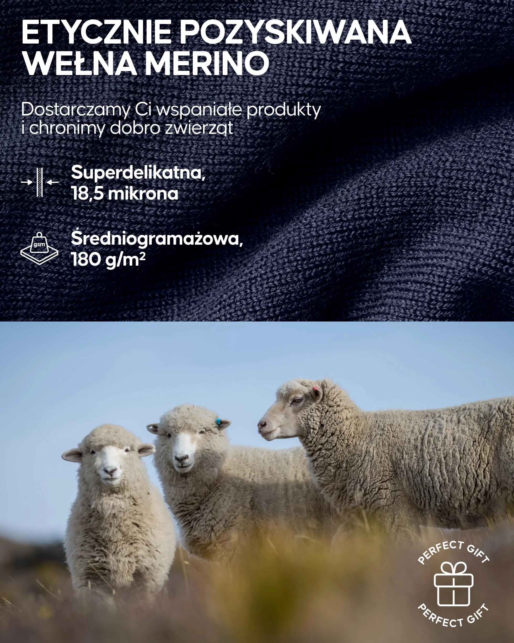 DANISH ENDURANCE Bielizna Termoaktywna Damska z Wełny Merino, Zestaw Odzieży Termicznej, Długie Legginsy Damskie, Top i Spodnie