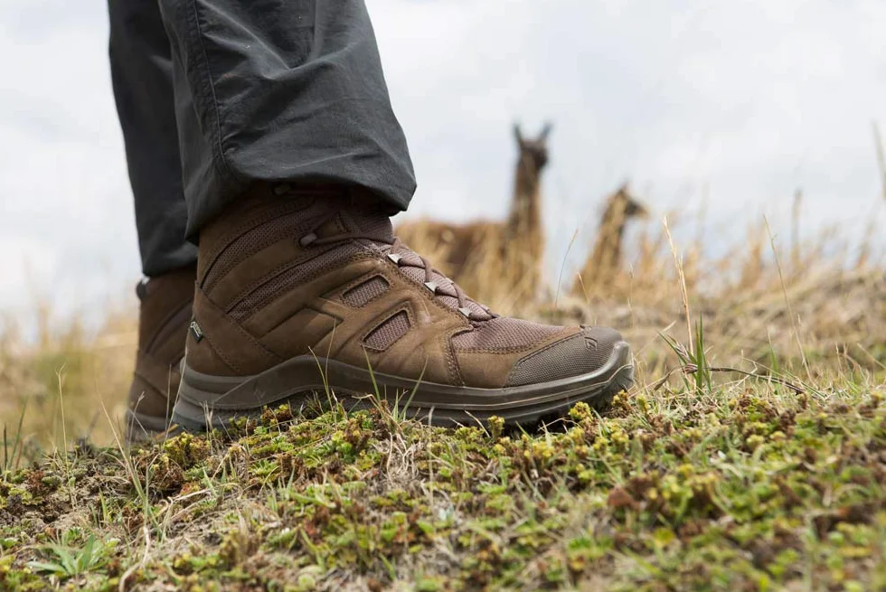 HAIX Black Eagle Athletic 2.0 V GTX mid/coyote: sportowy w podróży w pracy i w czasie wolnym - z Twoim Black Eagle Athletic