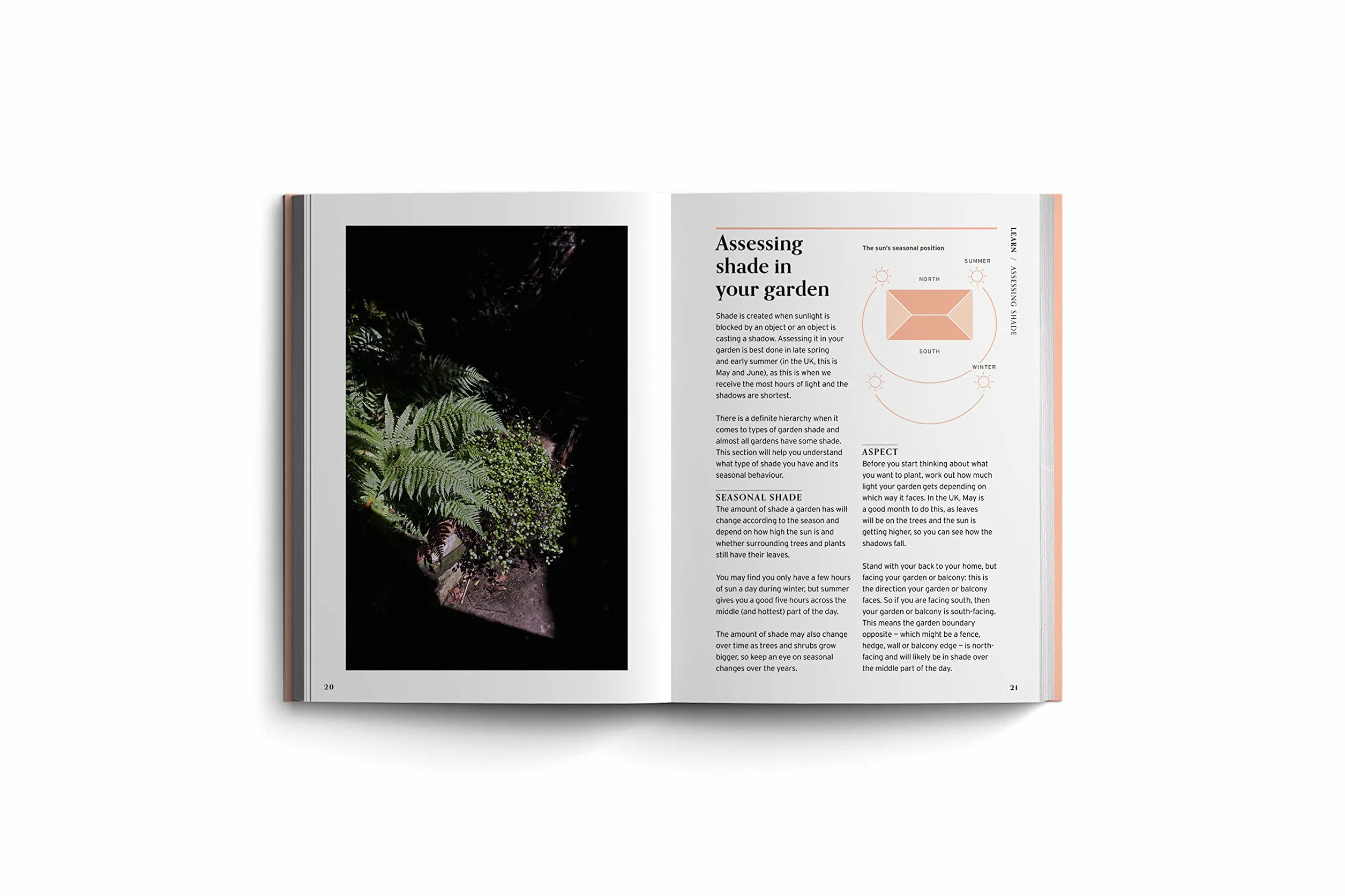 Shade (Bloom's Gardener Guide) /anglais: Bloom Gardener's Guide: Work with the Light, Grow the Right Plants, Bring Dark Corners to Life: 2