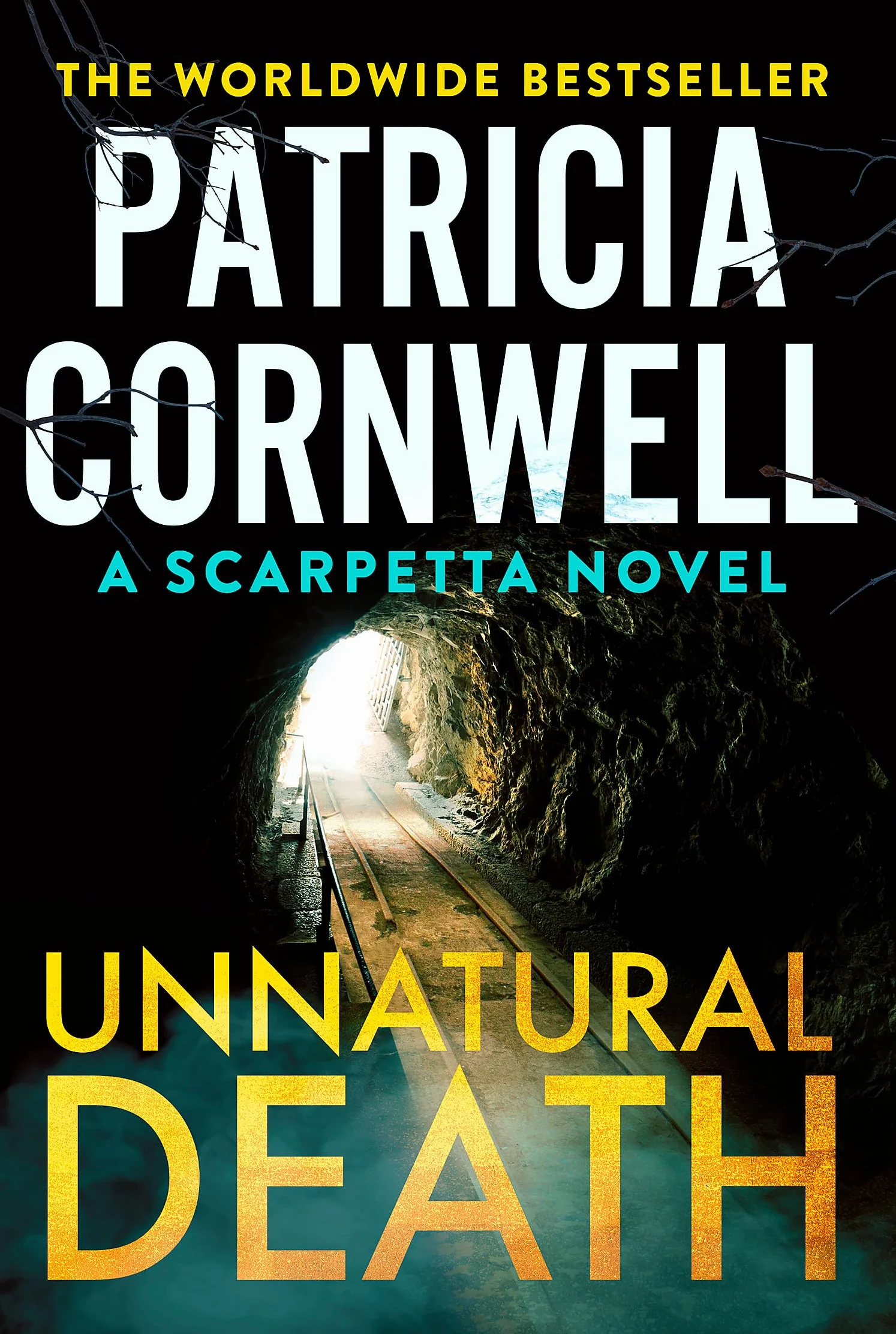 Unnatural death: The rollercoaster new Kay Scarpetta thriller