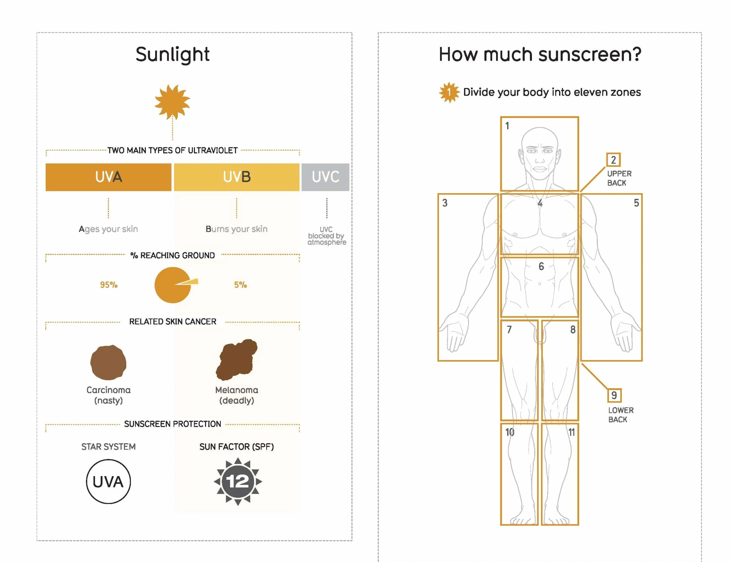 Information is Beautiful (New Edition): An Engaging Illustrated Guide to the World Through Updated Data Visualisations