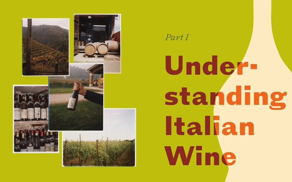 Italian Wine: The History, Regions, and Grapes of an Iconic Wine Country