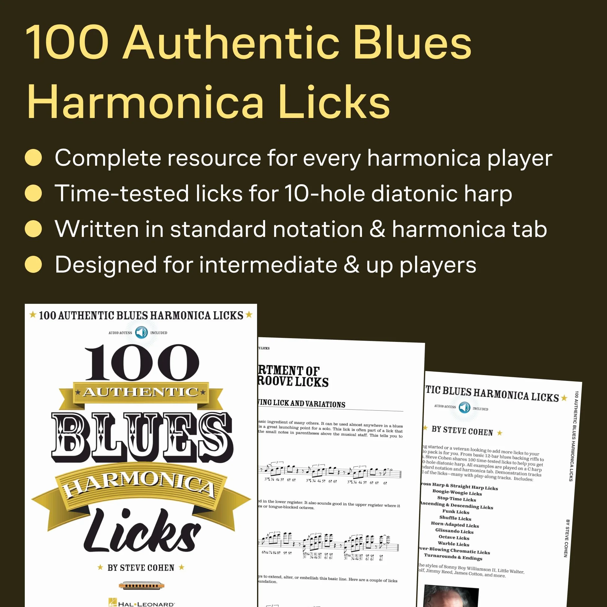 100 Authentic Blues Harmonica Licks