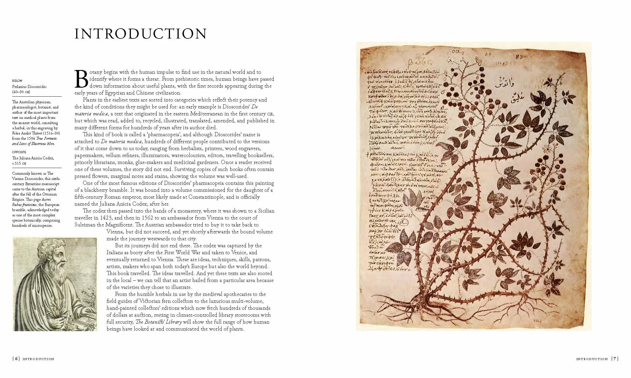 The Botanists' Library: The Most Important Botanical Books in History