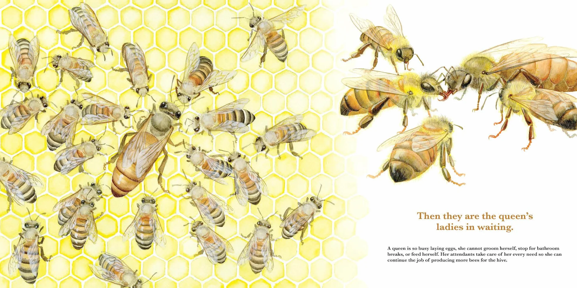 They Work: Honey Bees, Nature's Pollinators
