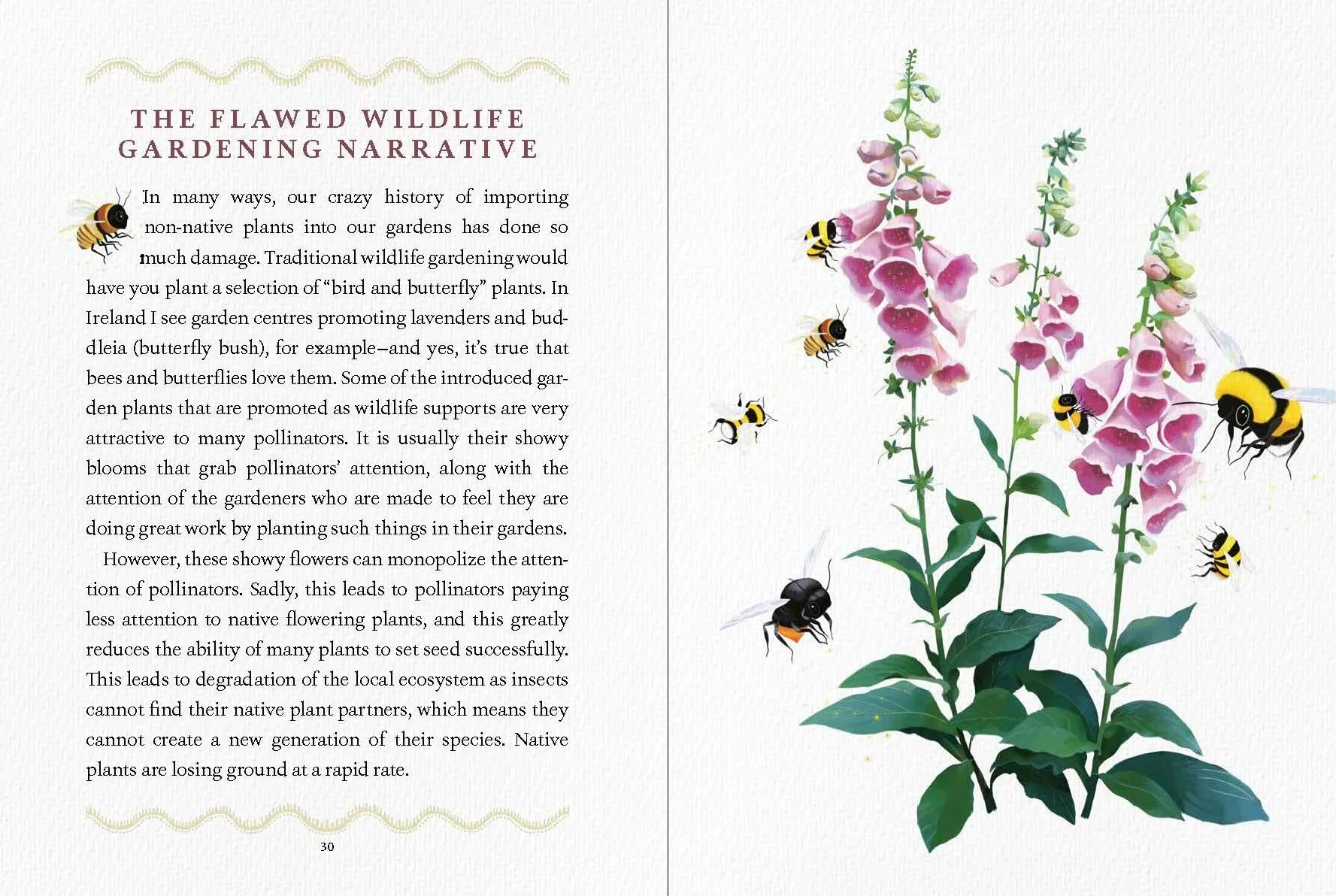 We Are the Ark: Returning Our Gardens to Their True Nature Through Acts of Restorative Kindness