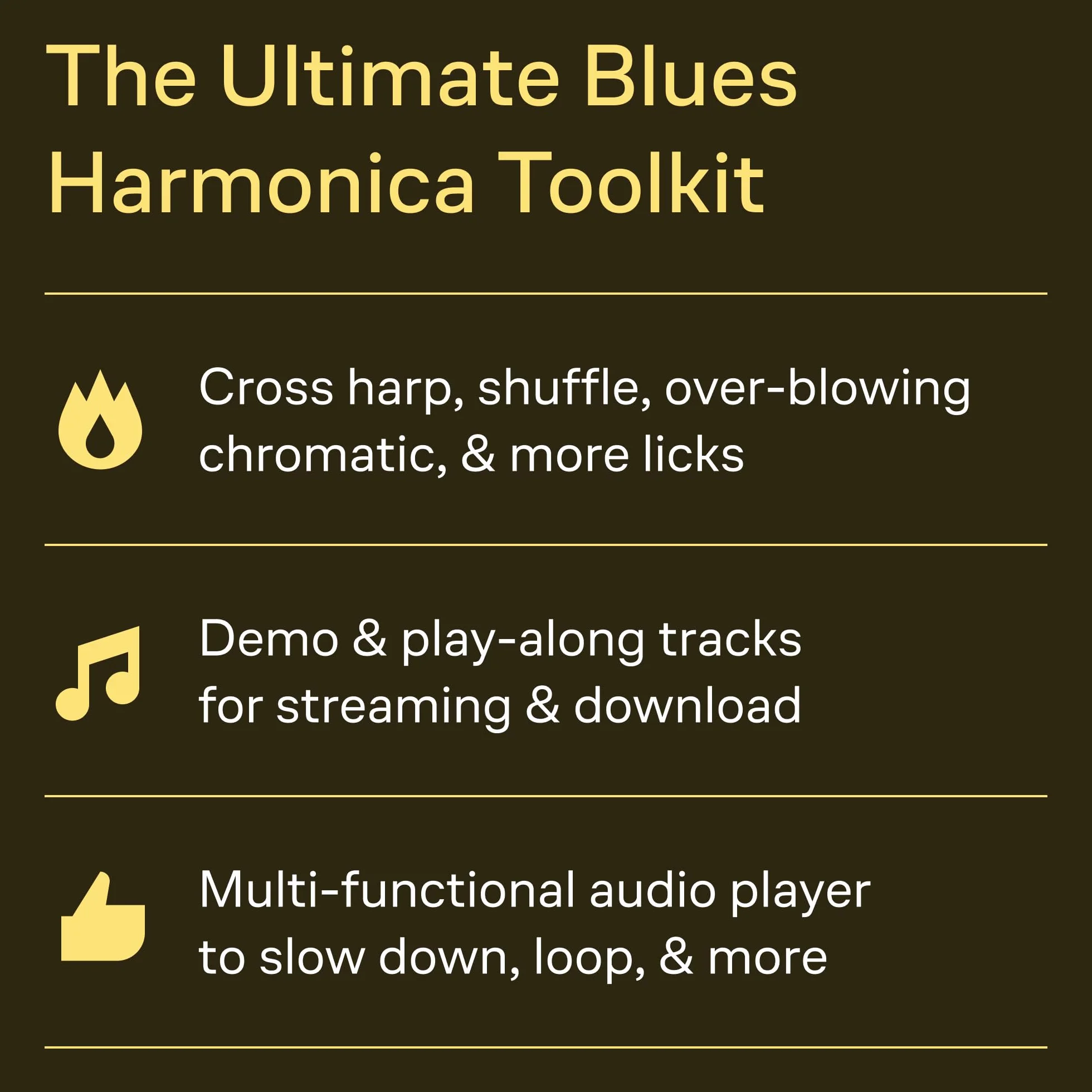100 Authentic Blues Harmonica Licks