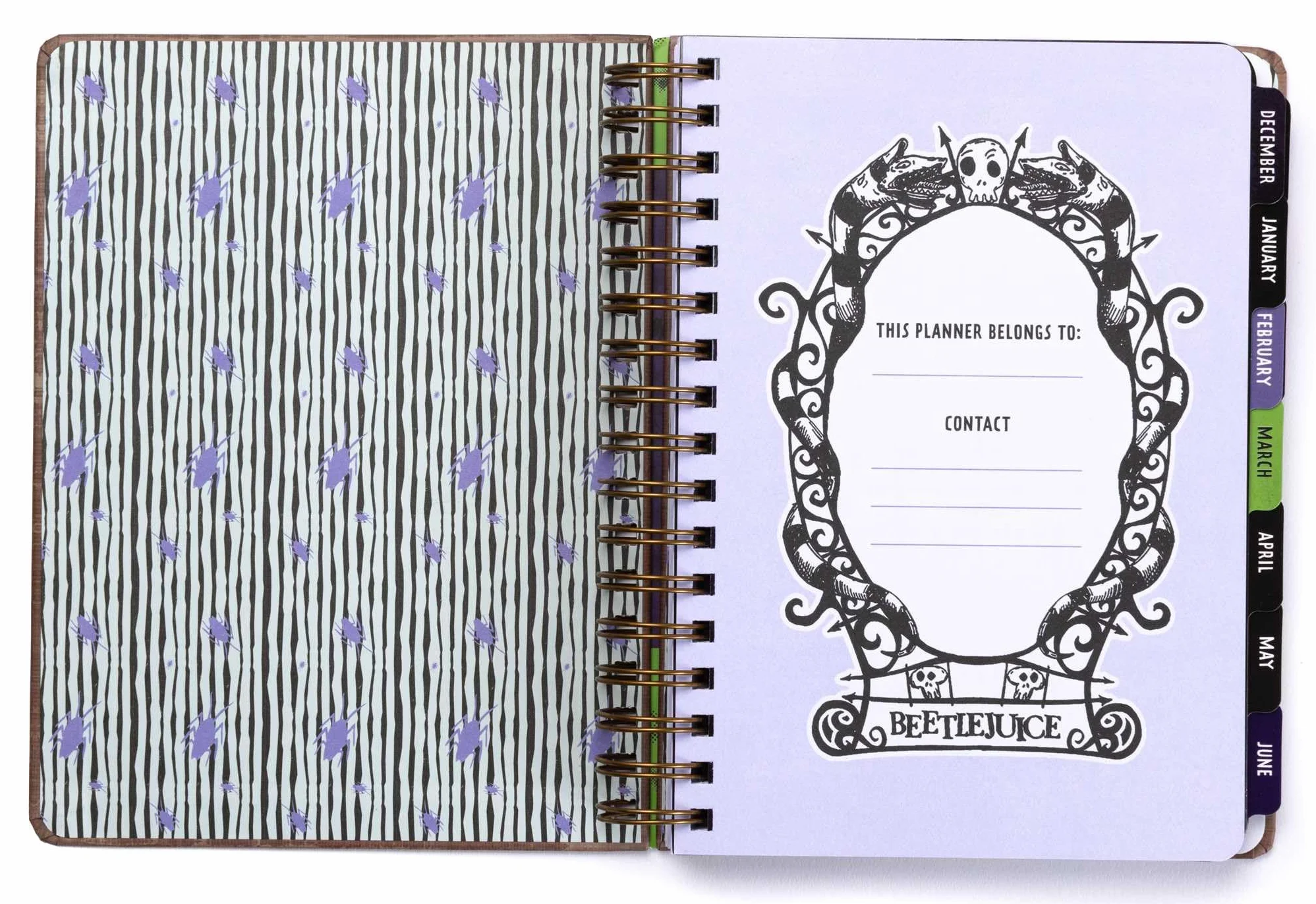 2025 Beetlejuice 13-Month Weekly Planner