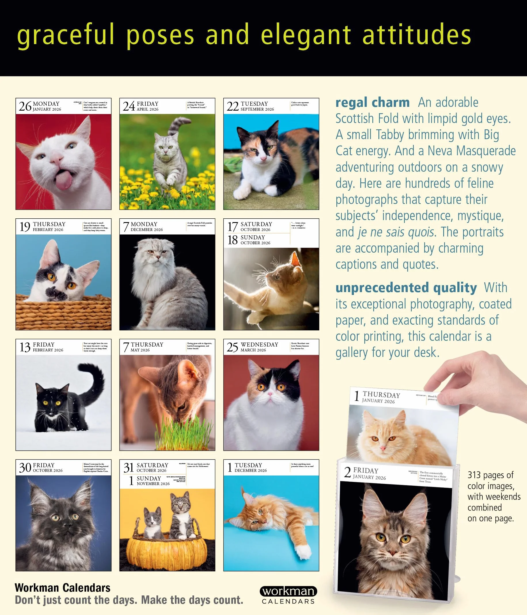 Cat Page-A-Day® Gallery Calendar 2026: A Delightful Gallery of Cats for Your Desktop