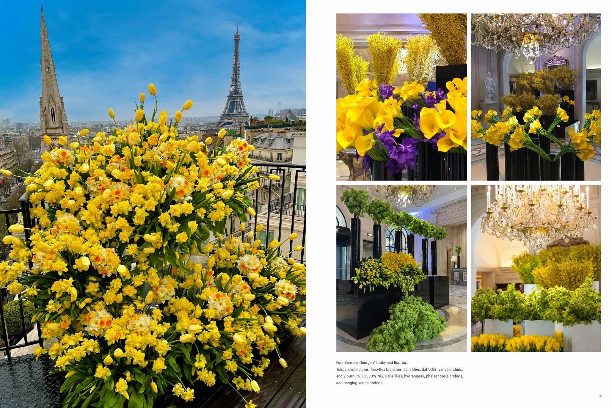 The Art of the Flower: A Photographic Collection of Iconic Floral Installations by Celebrity Florist Jeff Leatham