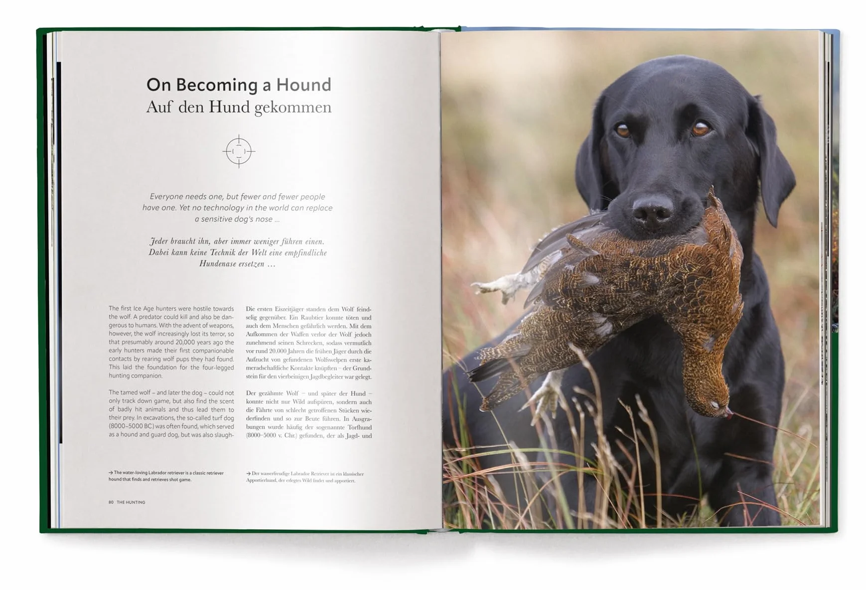 Hunting The Ultimate Book /anglais/allemand