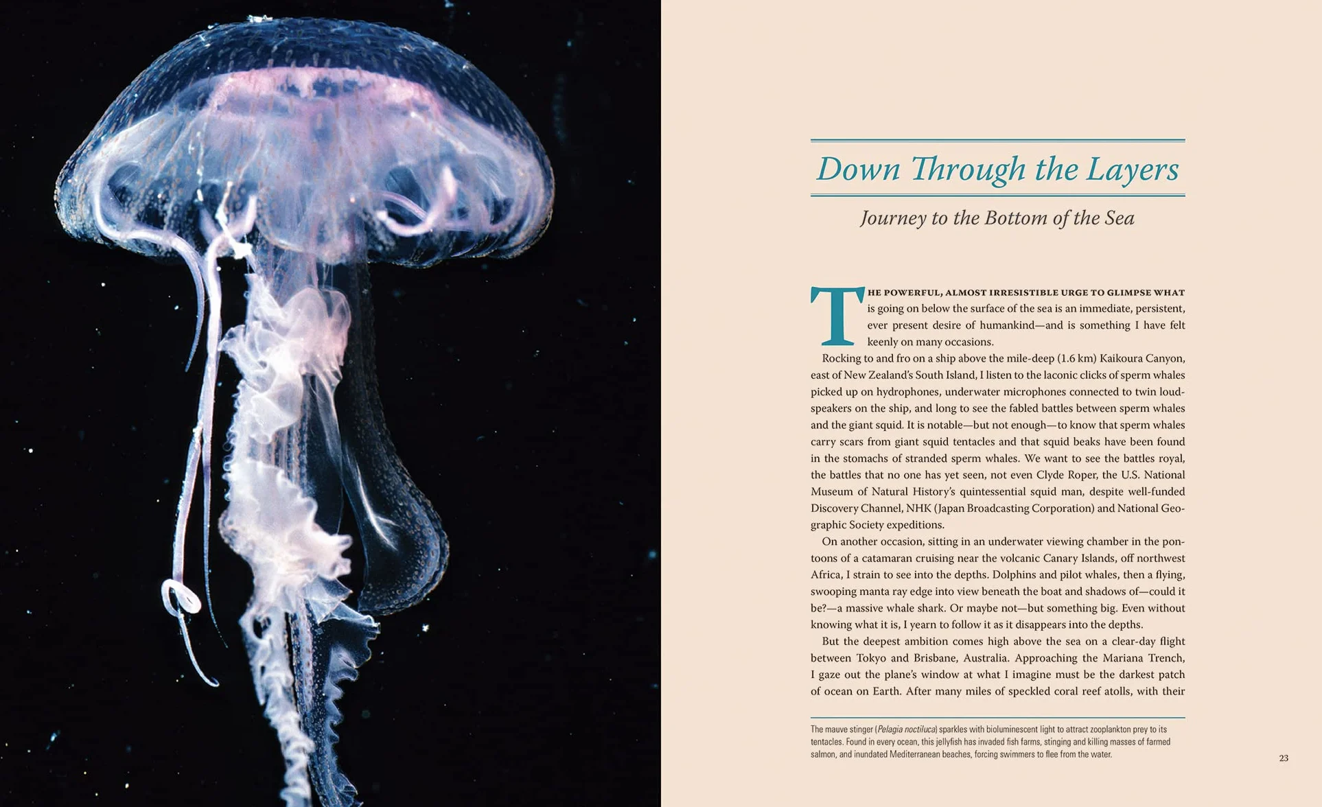 Creatures of the Deep: In Search of the Sea's Monsters and the World They Live in