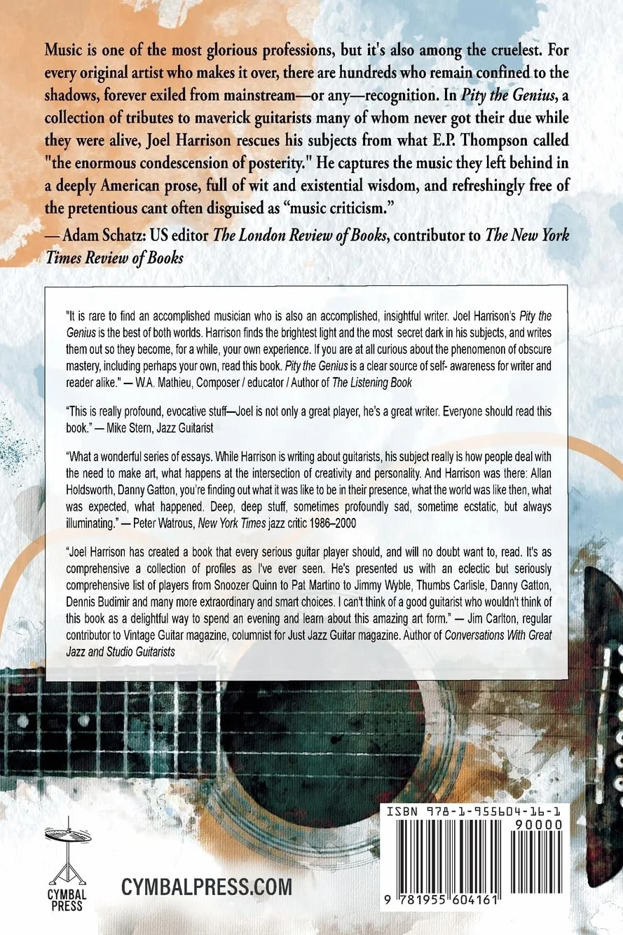 Pity the Genius: A Journey through American Guitar Music in 33 Tracks