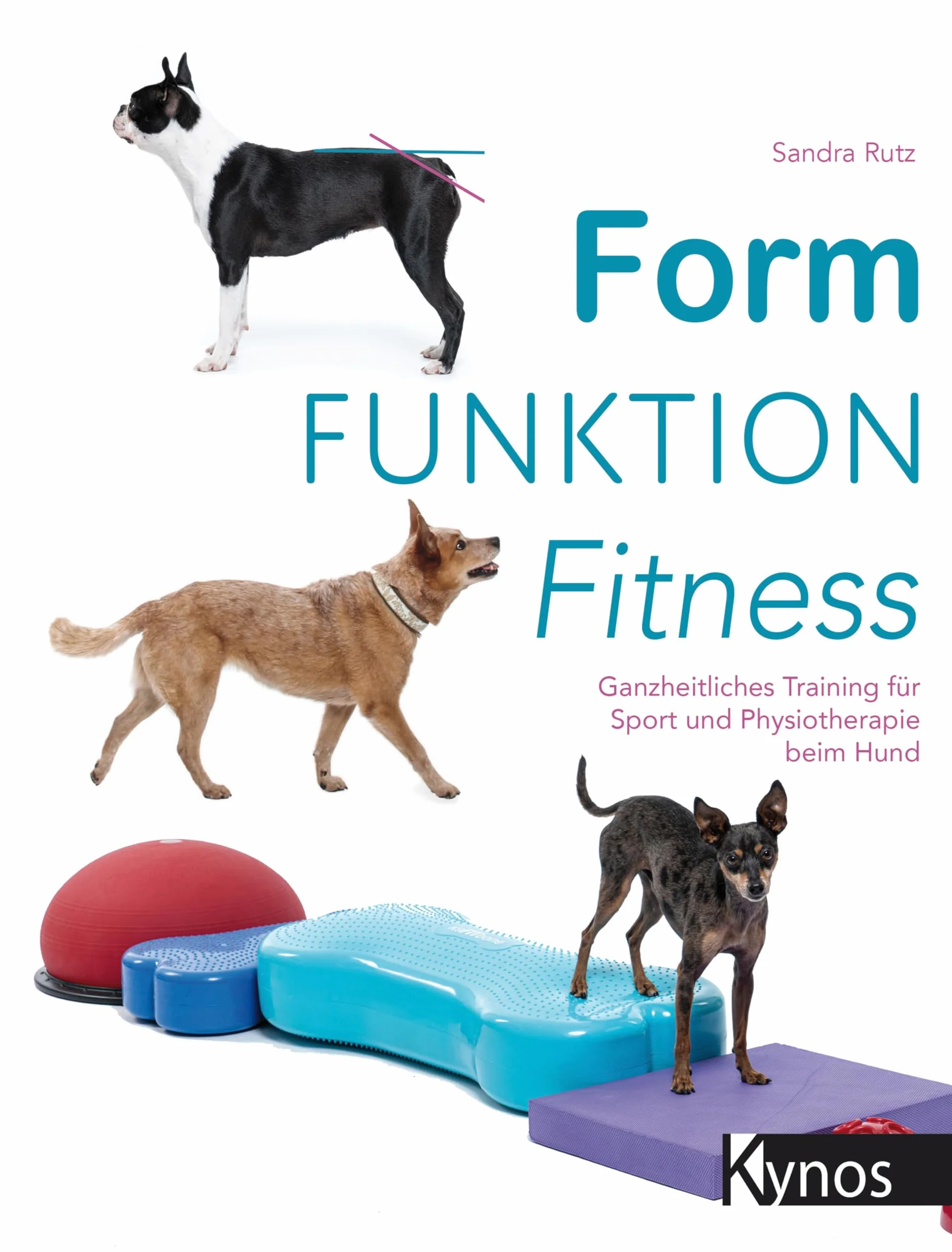 Form Funktion Fitness: Ganzheitliches Training für Sport und Physiotherapie beim Hund