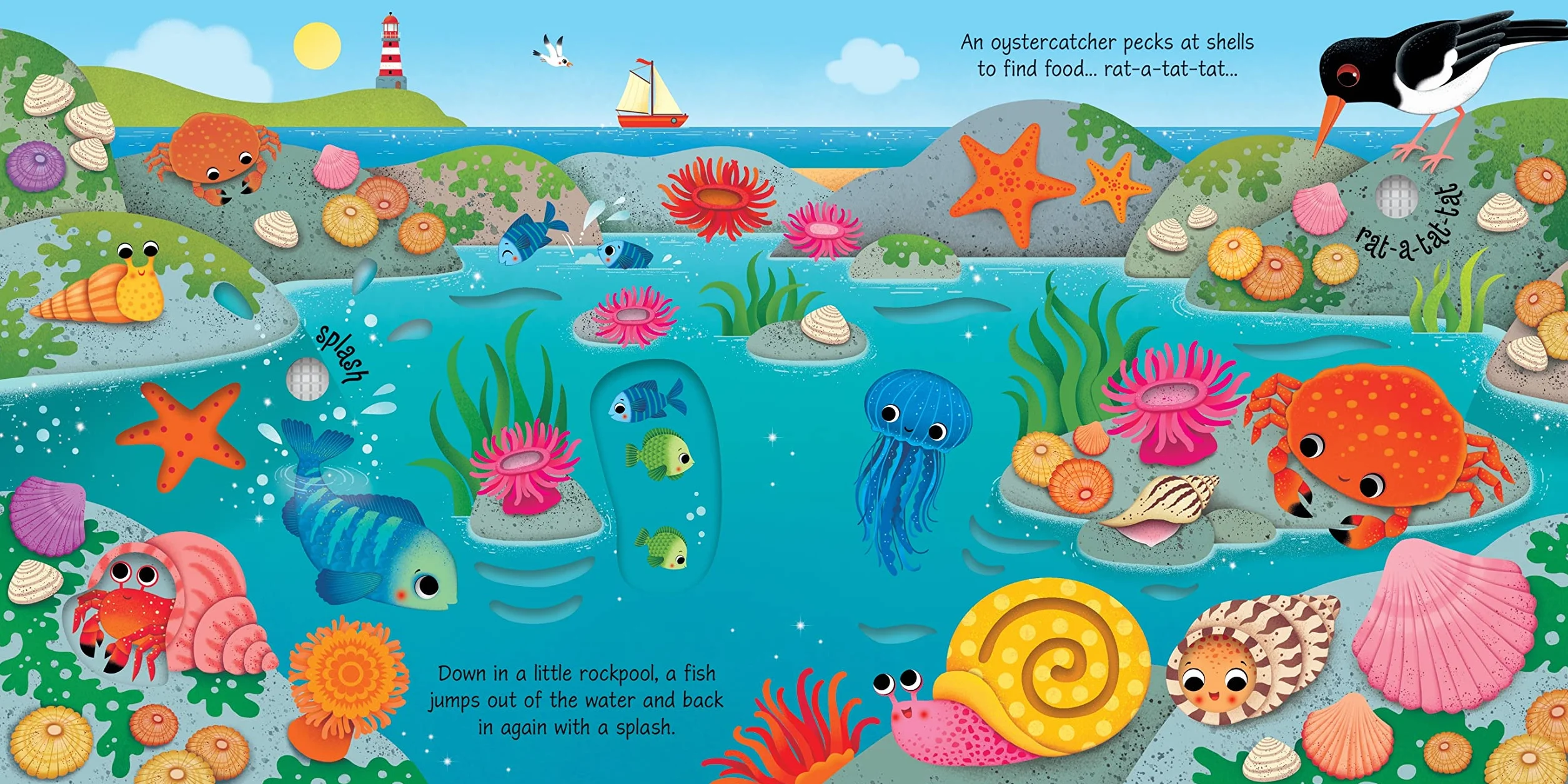 Seashore Sounds (Sound Books)