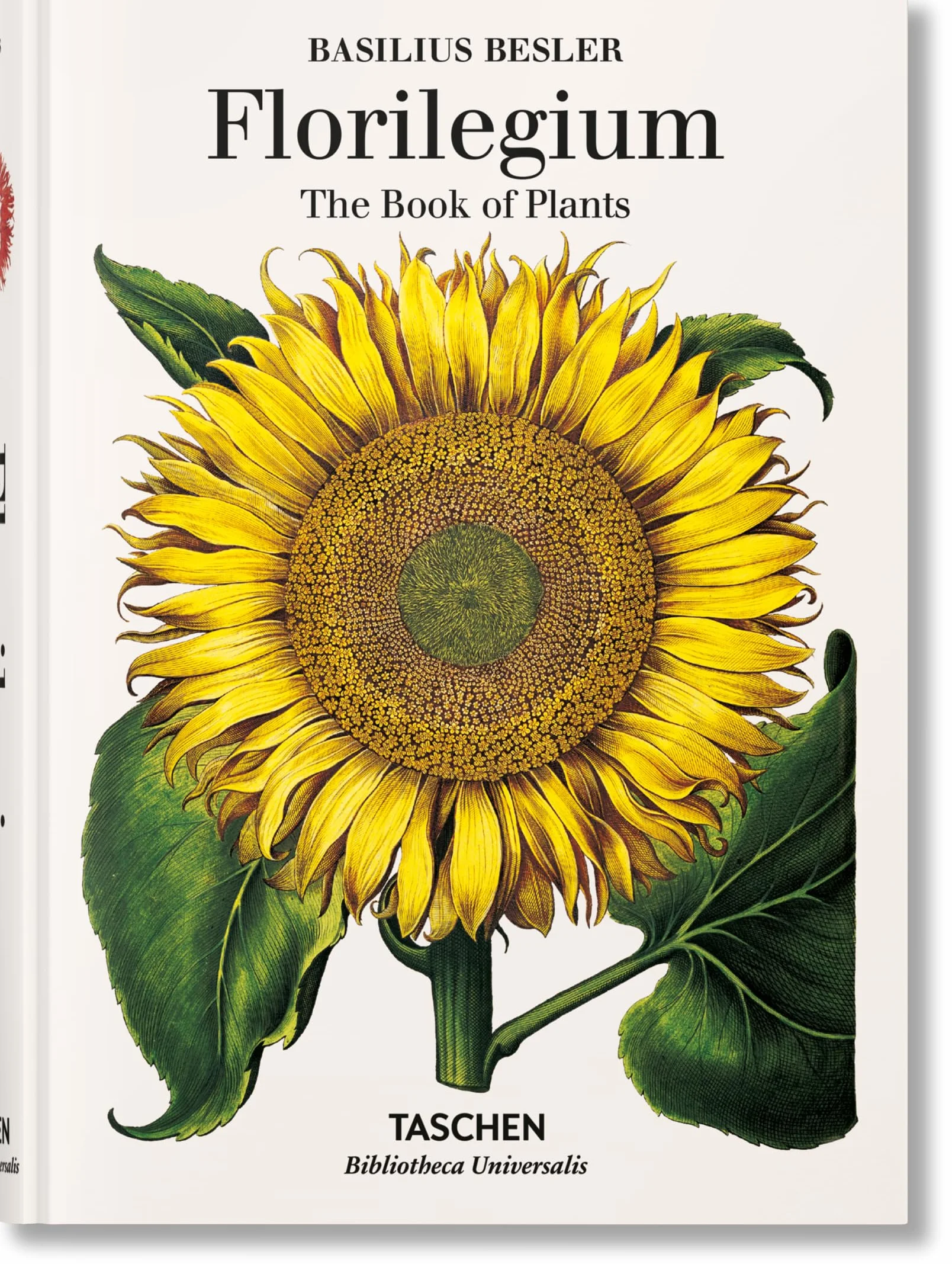 Basilius beslers florilegium. the book of plants-anglais: Bu