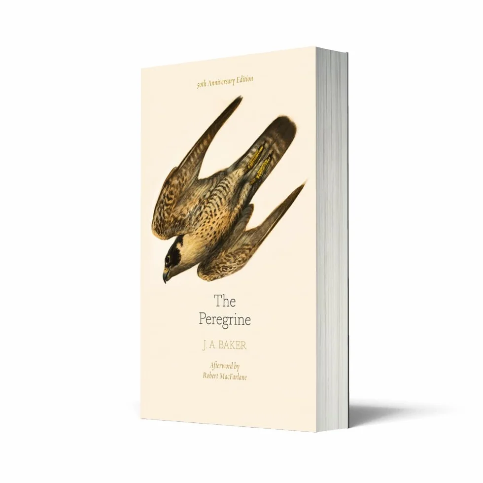 The Peregrine: 50th Anniversary Edition: Afterword by Robert Macfarlane