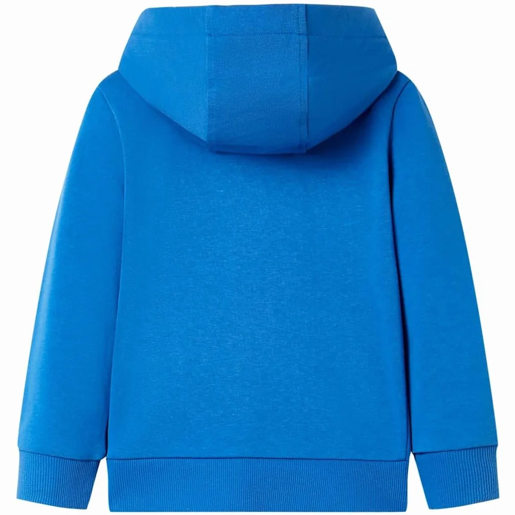 bluza dziecięca bluzy dziecięce bluza chłopięca