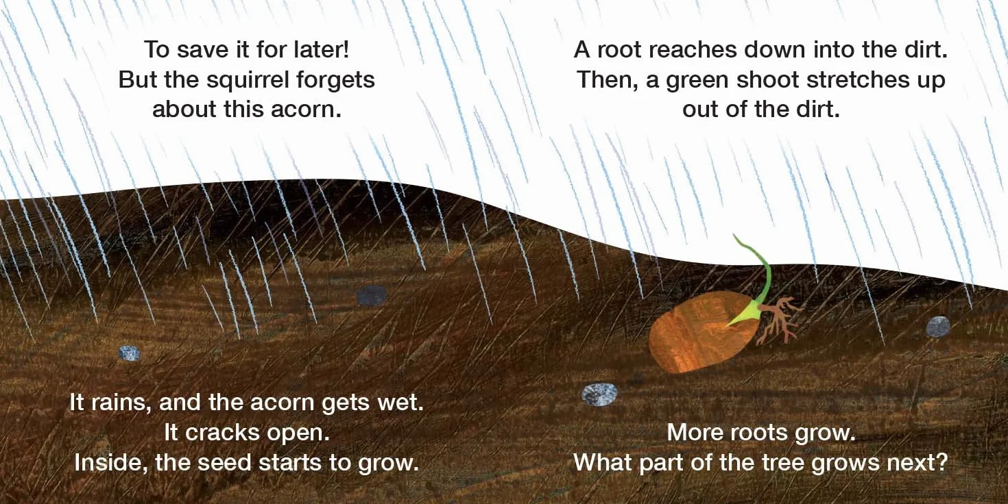How Does a Seed Sprout?: Life Cycles with The Very Hungry Caterpillar (The World of Eric Carle)