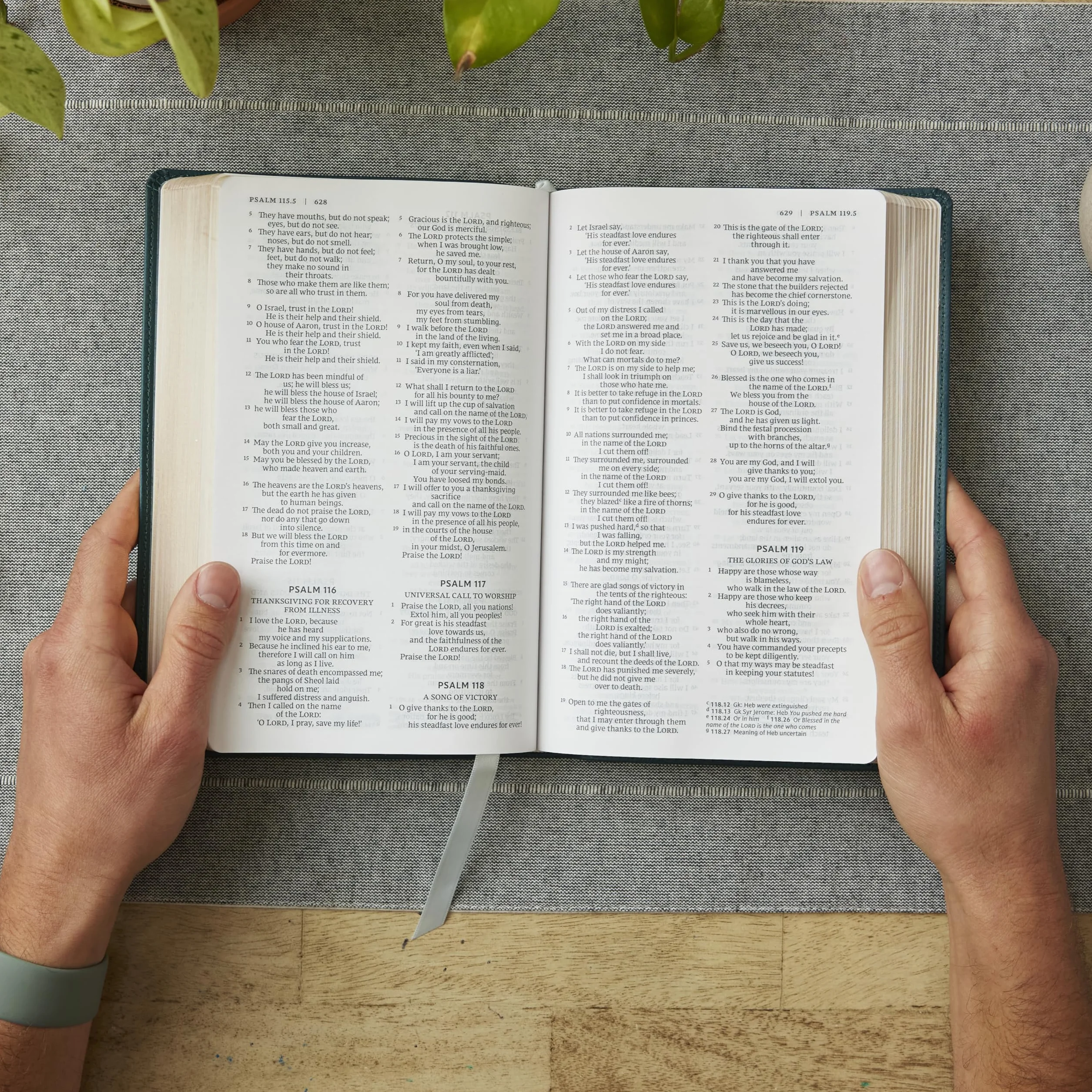 Nrsv, Catholic Bible, Gift Edition, Leathersoft, White, Comfort Print: Holy Bible