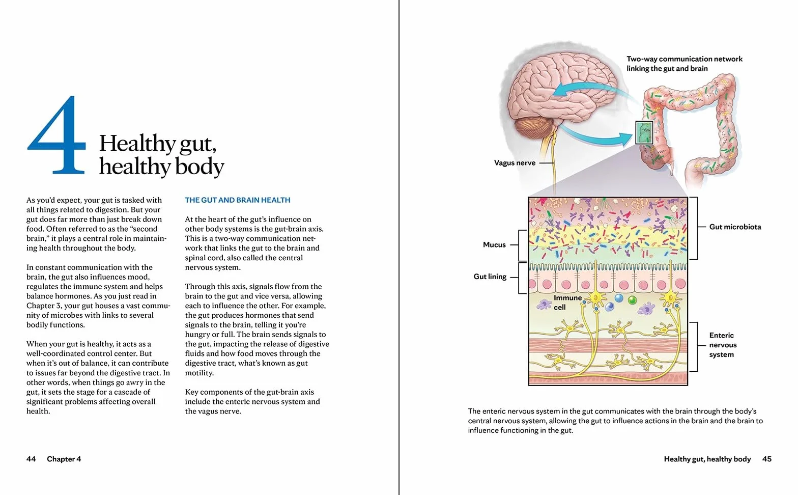Mayo Clinic Guide to Gut Health: Restore your microbiome, enhance digestion, and improve your health from the inside out