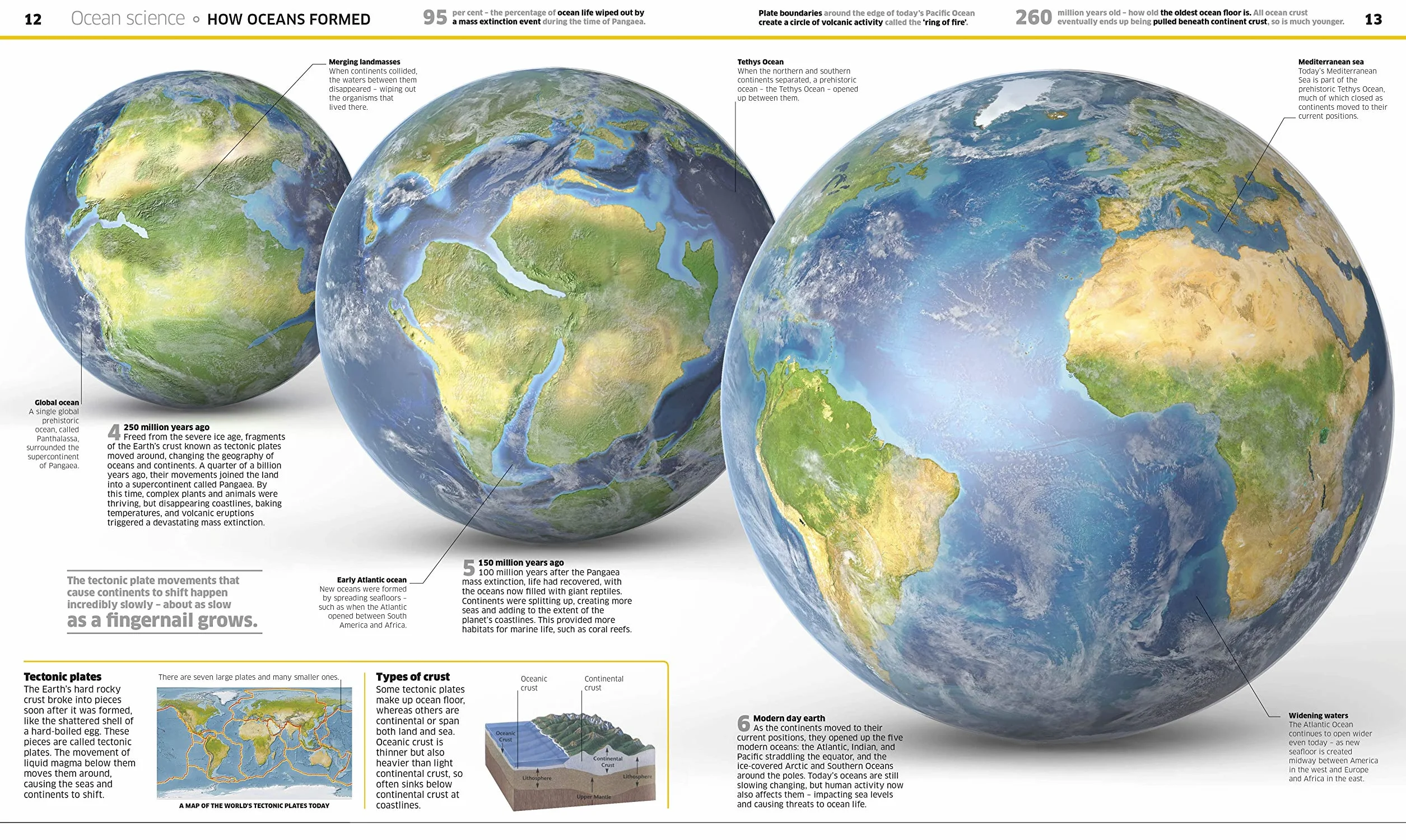 Knowledge Encyclopedia Ocean!: Our Watery World As You've Never Seen It Before (Knowledge Encyclopedias)