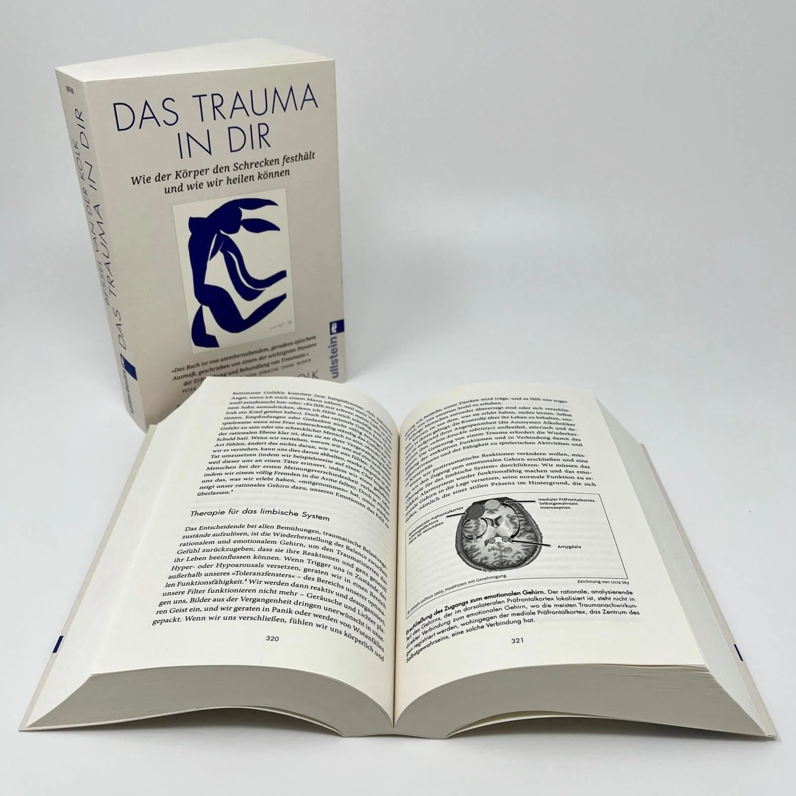 Das Trauma in dir: Wie der Körper den Schrecken festhält und wie wir heilen können | Der Bestseller "Verkörperter Schrecken" vom renommierten Traumaforscher jetzt als Taschenbuch