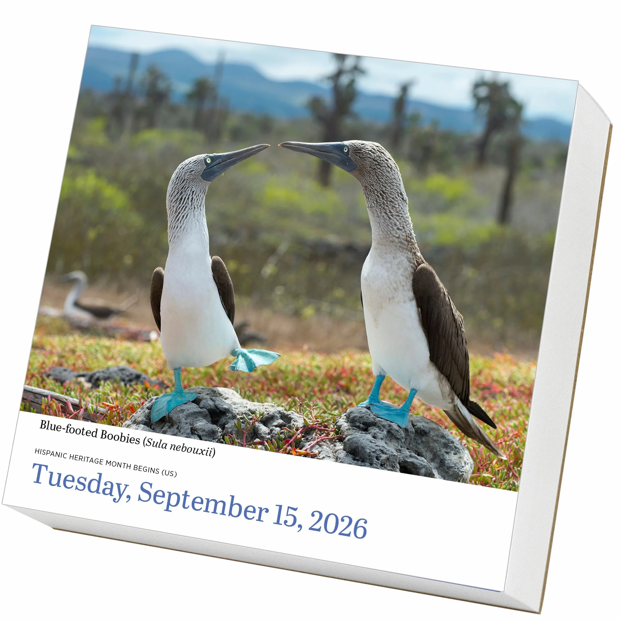 Audubon Birds Page-A-Day(r) Calendar 2026: The World's Favorite Bird Calendar