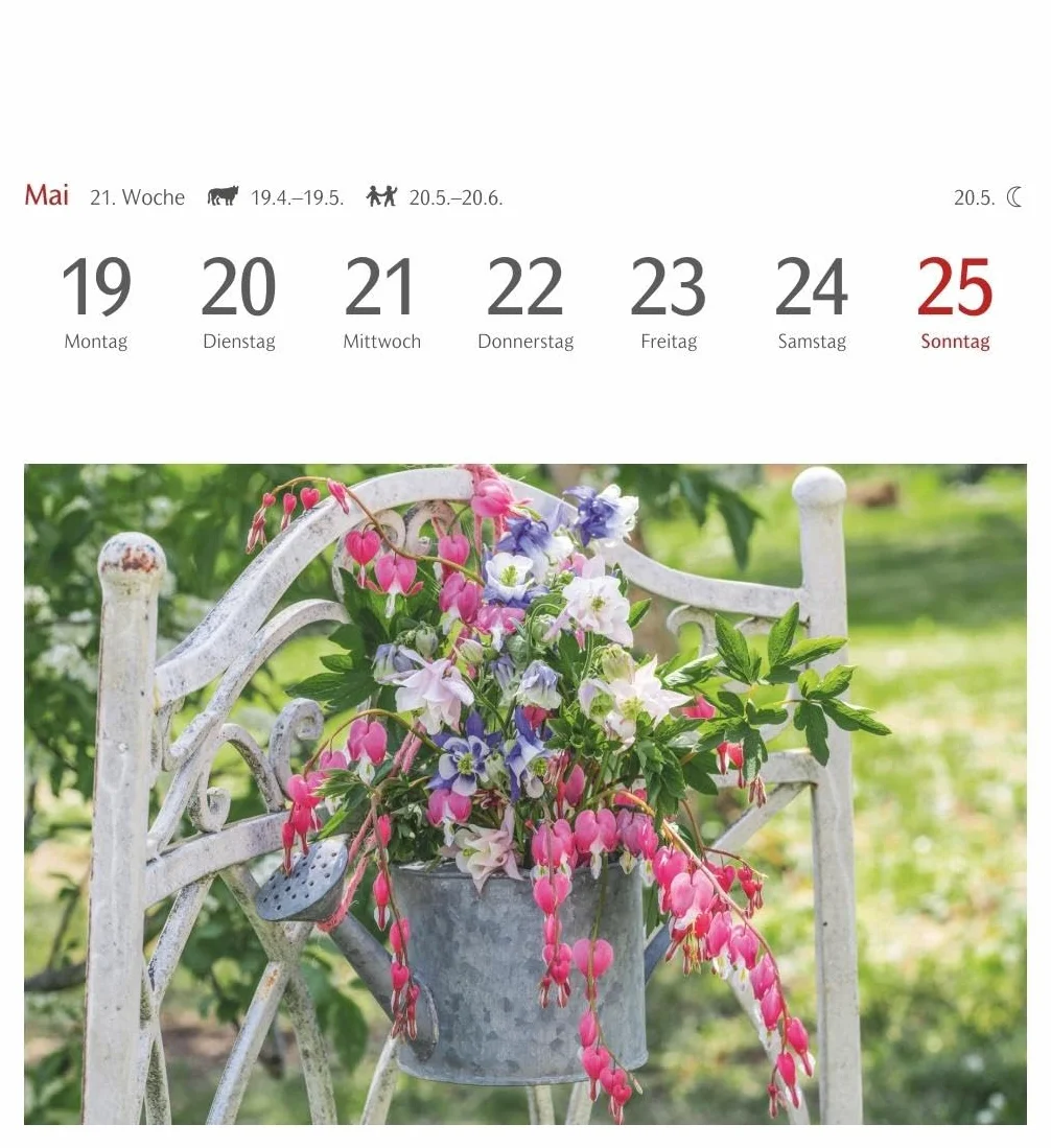 Blumenpracht Postkartenkalender 2025 - Wochenkalender mit 53 Postkarten: Kalender mit 53 traumhaften Fotos von Blumensträußen und Blüten. Blumen-Kalender 2025 mit Postkarten