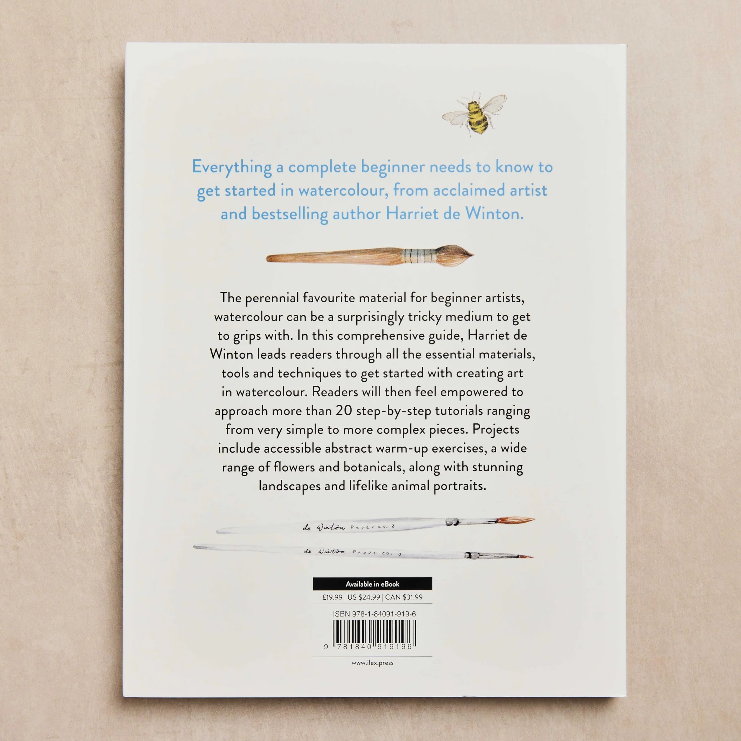 You Will Be Able to Paint with Watercolour by the End of This Book: The perfect arty Christmas gift for creative people