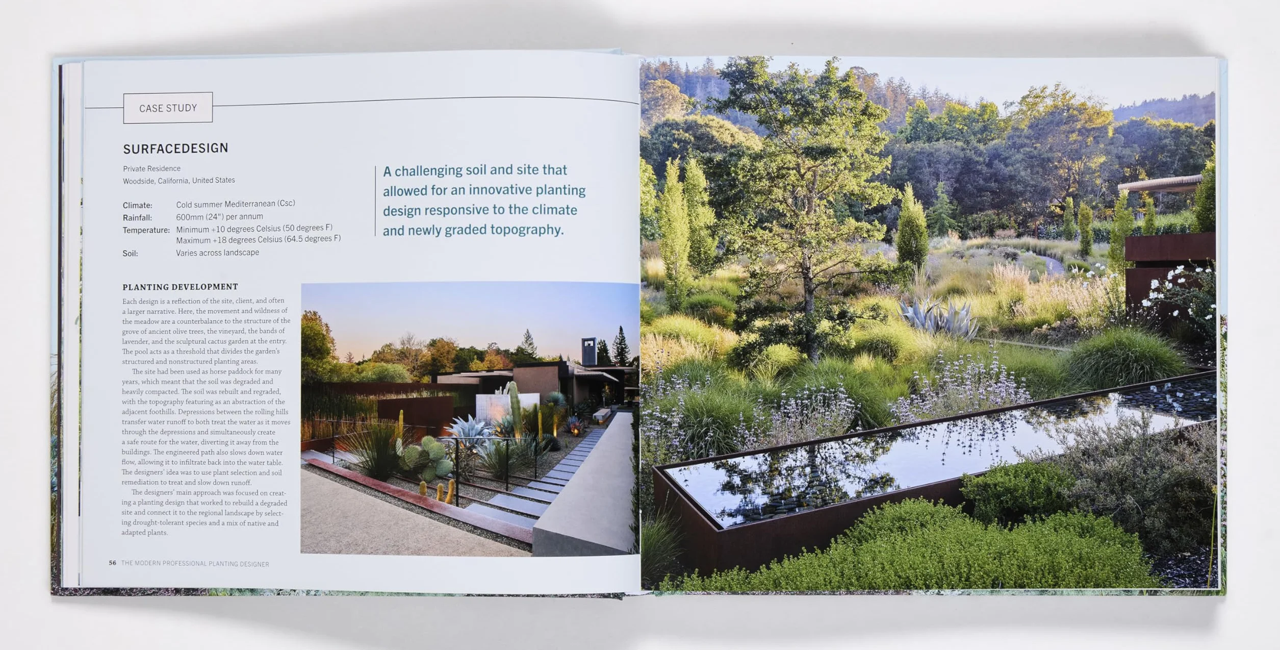 New Professional Planting Designer /anglais: Creating Beautiful, Sustainable, Resilient Gardens for the Twenty-First Century