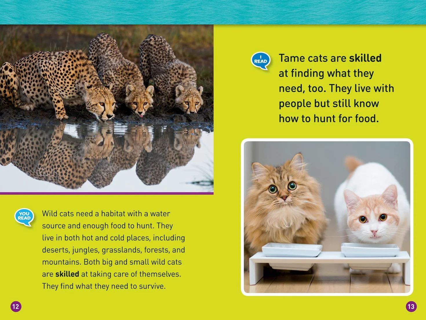 National Geographic Kids Readers: Cats: Level 1 Co-reader