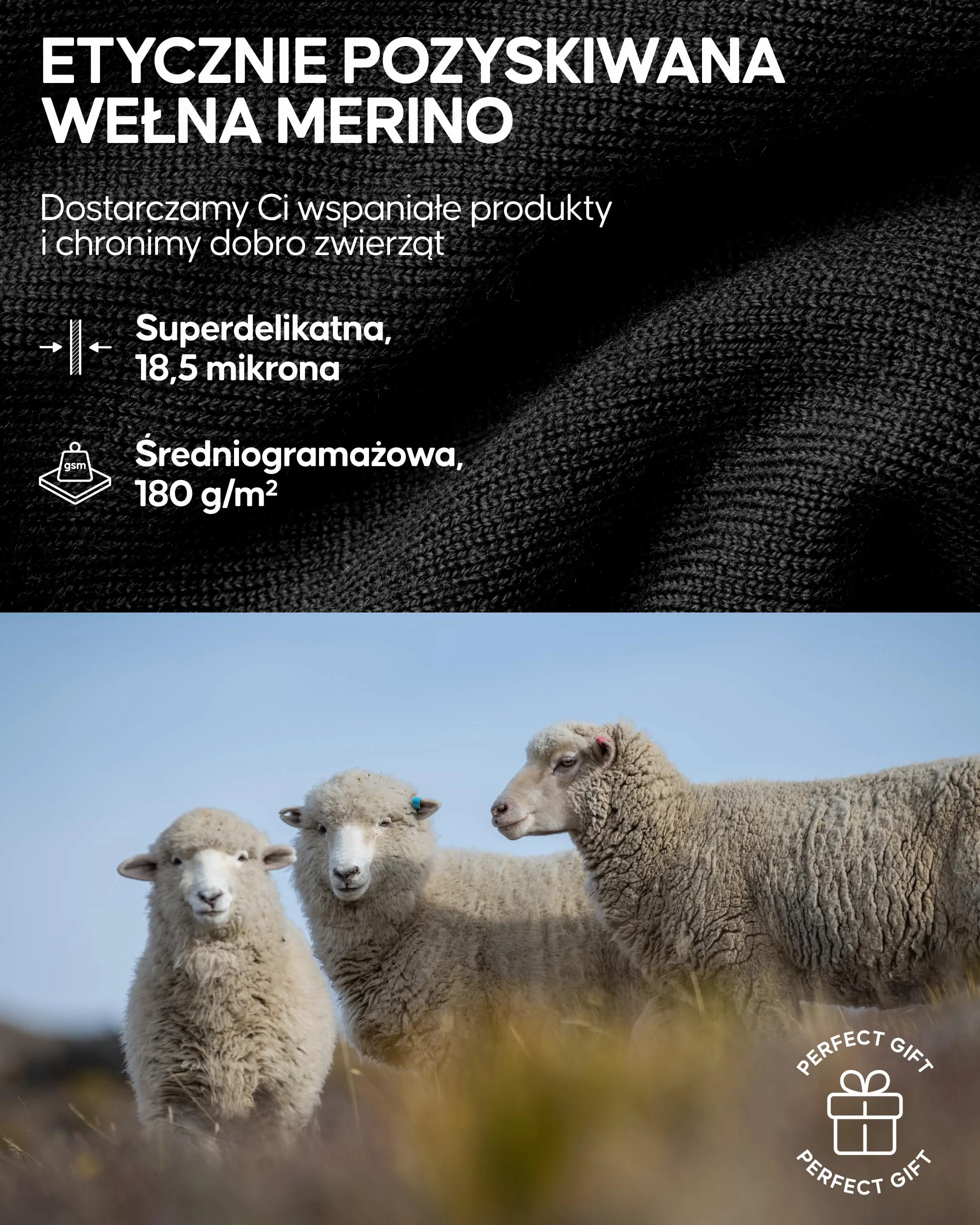 DANISH ENDURANCE Półgolf z Zamkiem Męski Wełna Merino, Zestaw Termiczny, Spodnie i Koszulka z Długim Rękawem