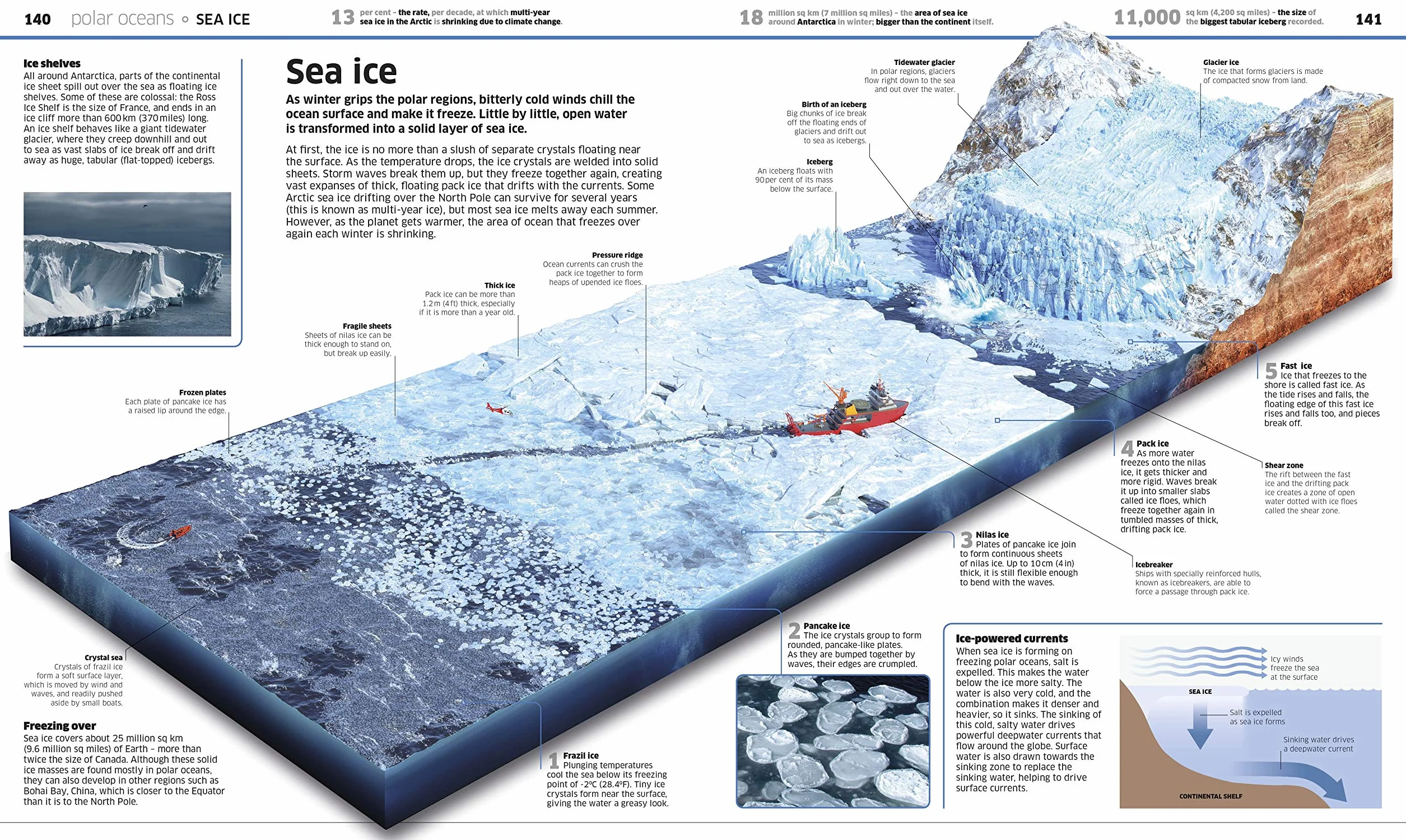 Knowledge Encyclopedia Ocean!: Our Watery World As You've Never Seen It Before (Knowledge Encyclopedias)